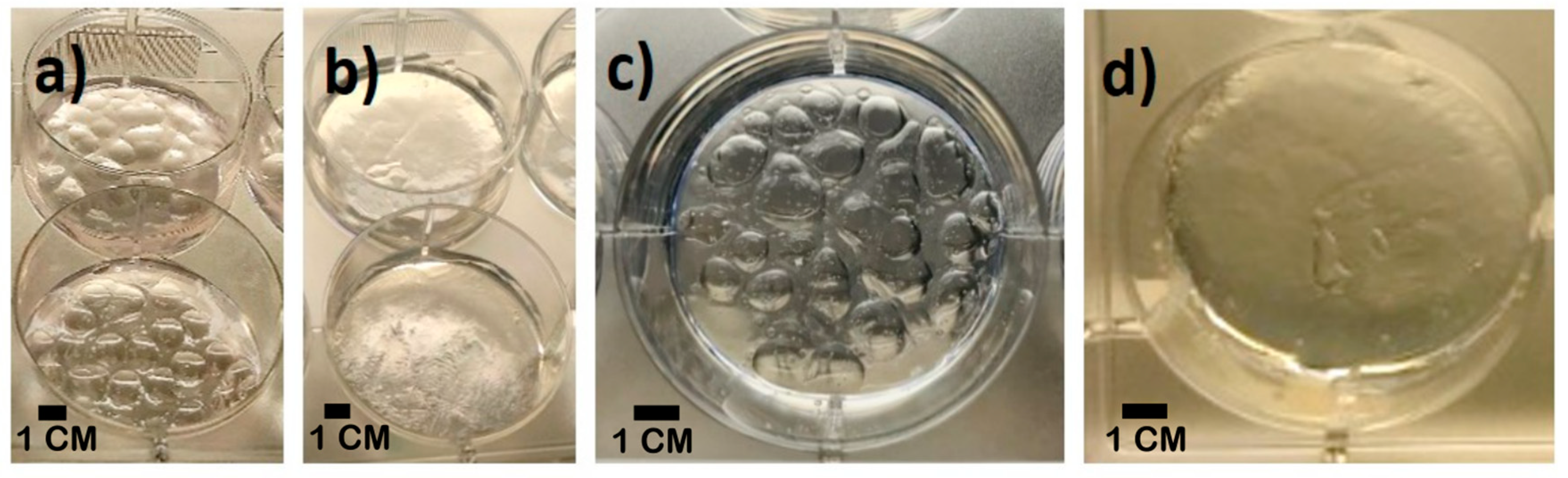 Molecules 25 05751 g002