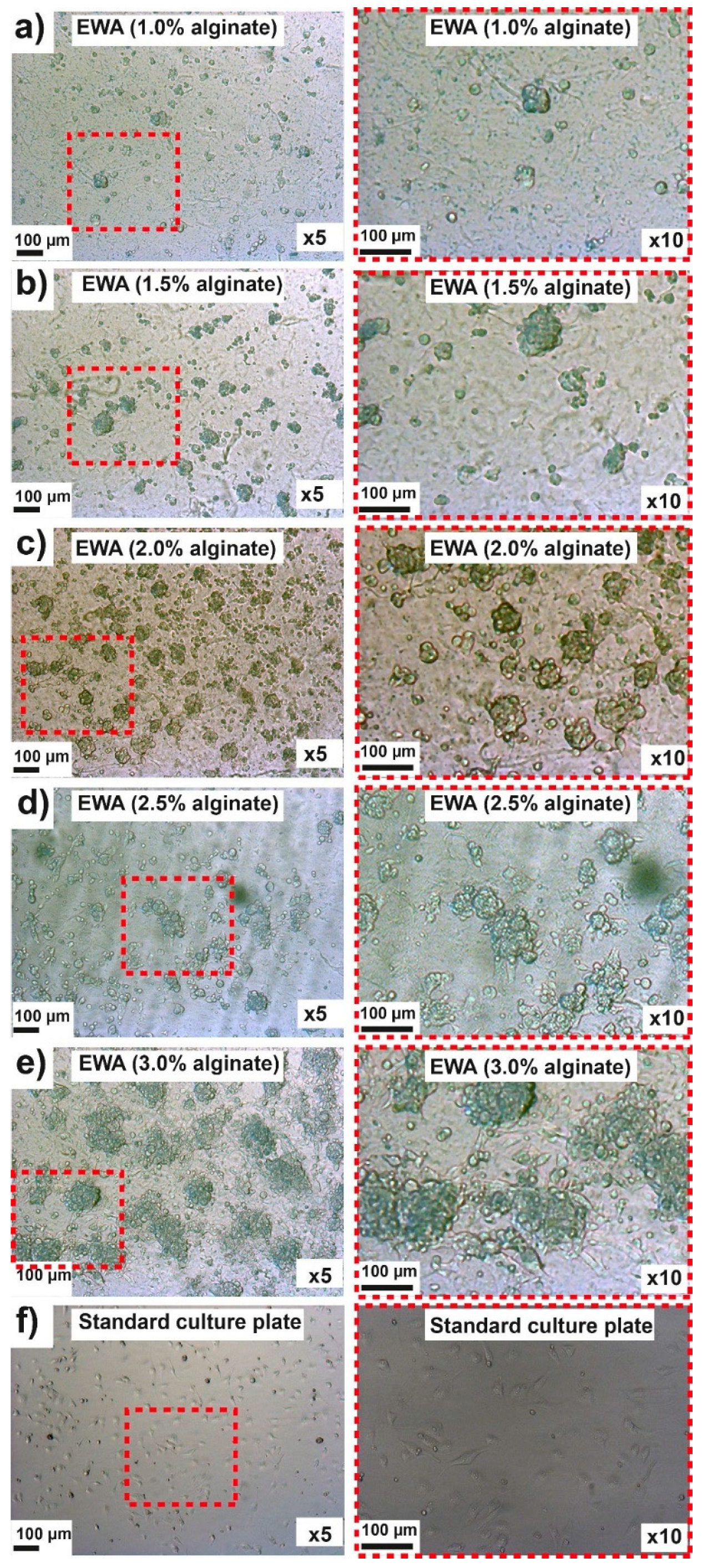 Molecules 25 05751 g004