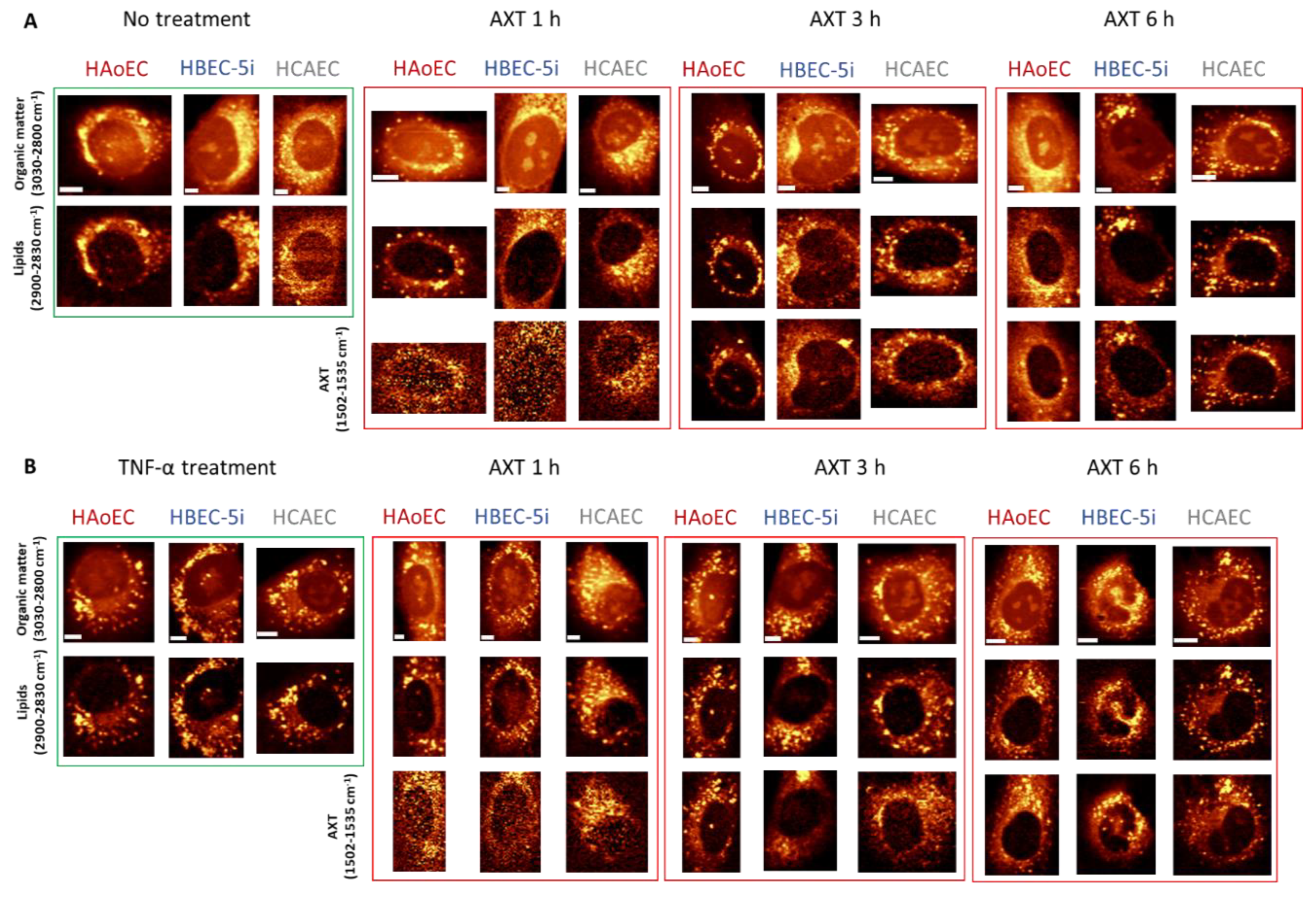 Molecules 25 05752 g004