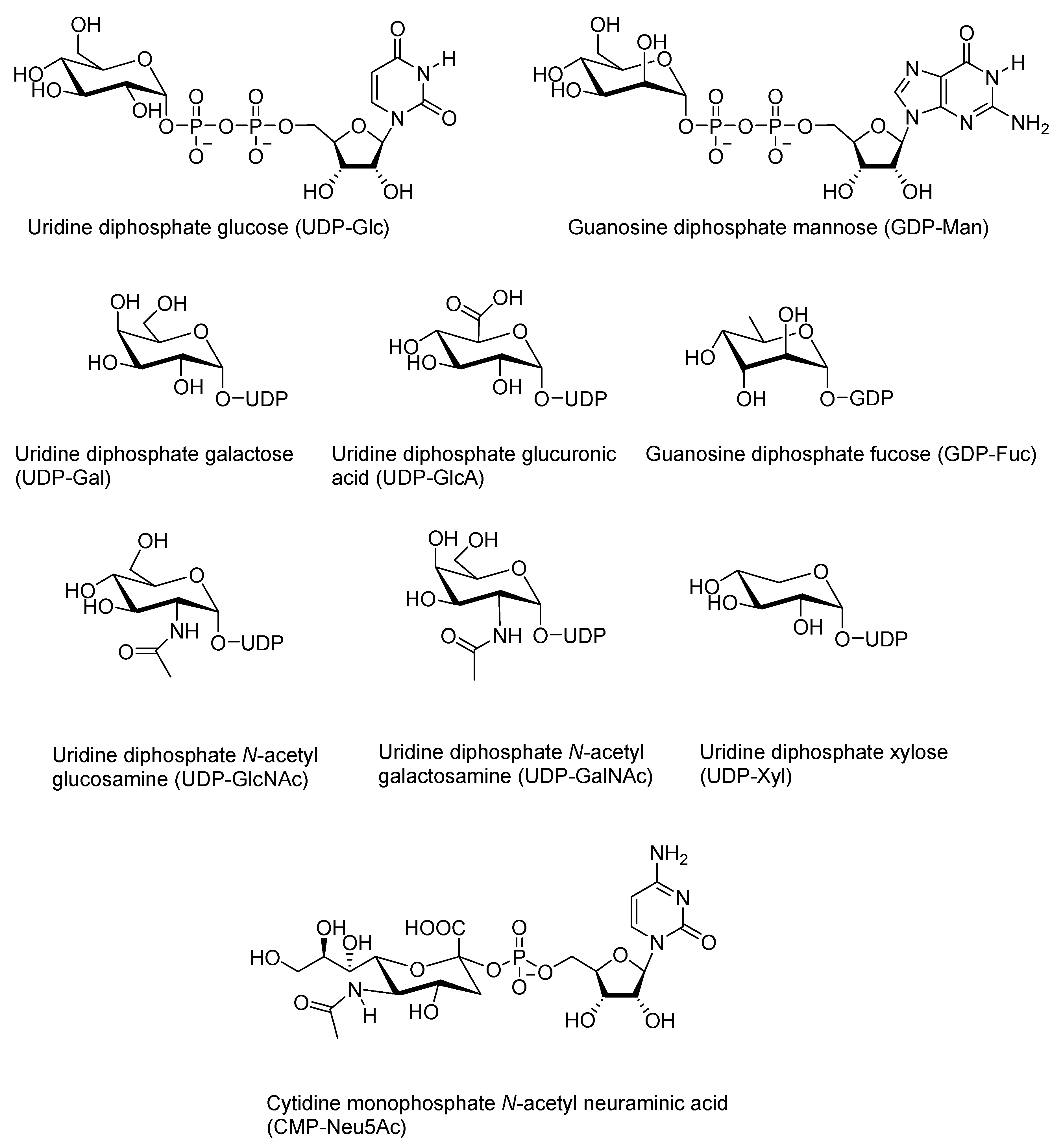 Molecules 25 05755 g001 Molecules 25 05755 g001