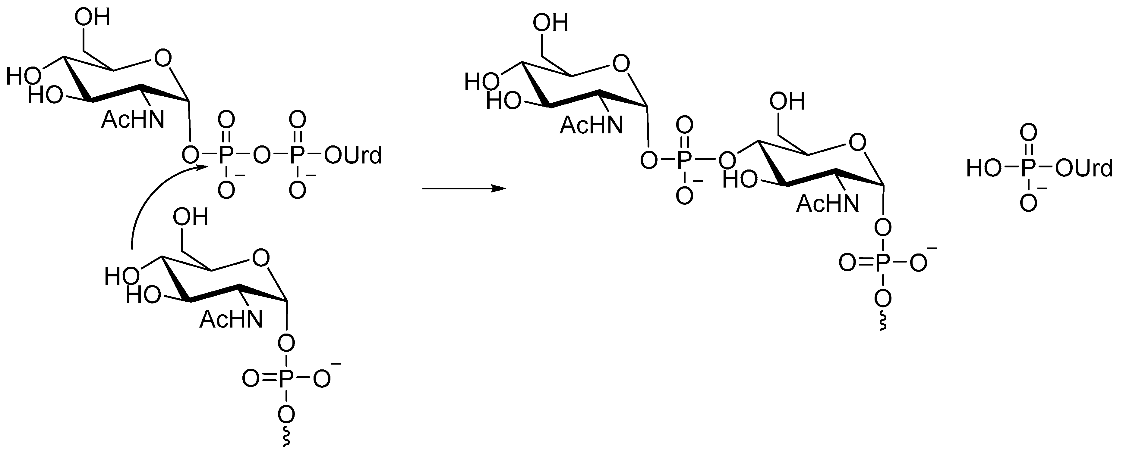 Molecules 25 05755 sch004 Molecules 25 05755 sch004