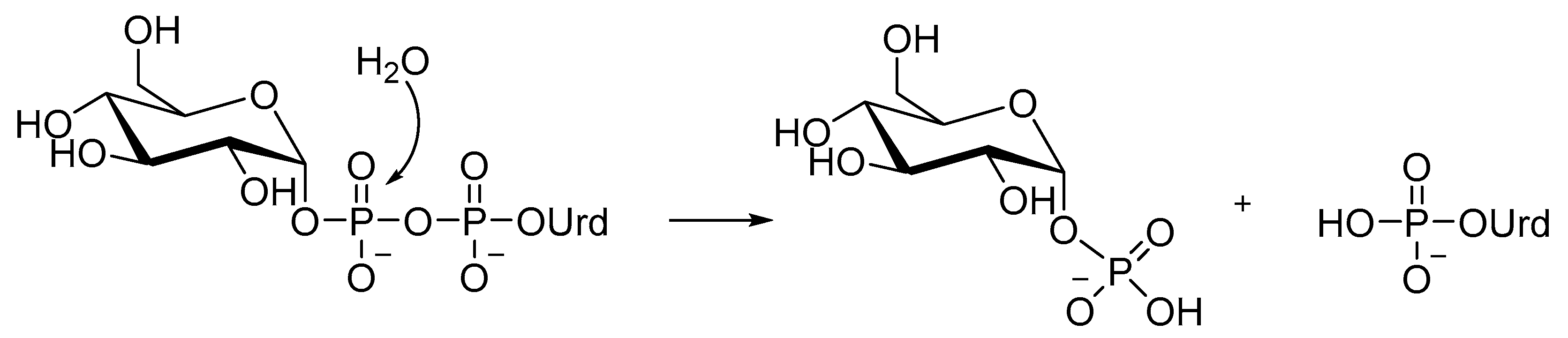 Molecules 25 05755 sch005 Molecules 25 05755 sch005