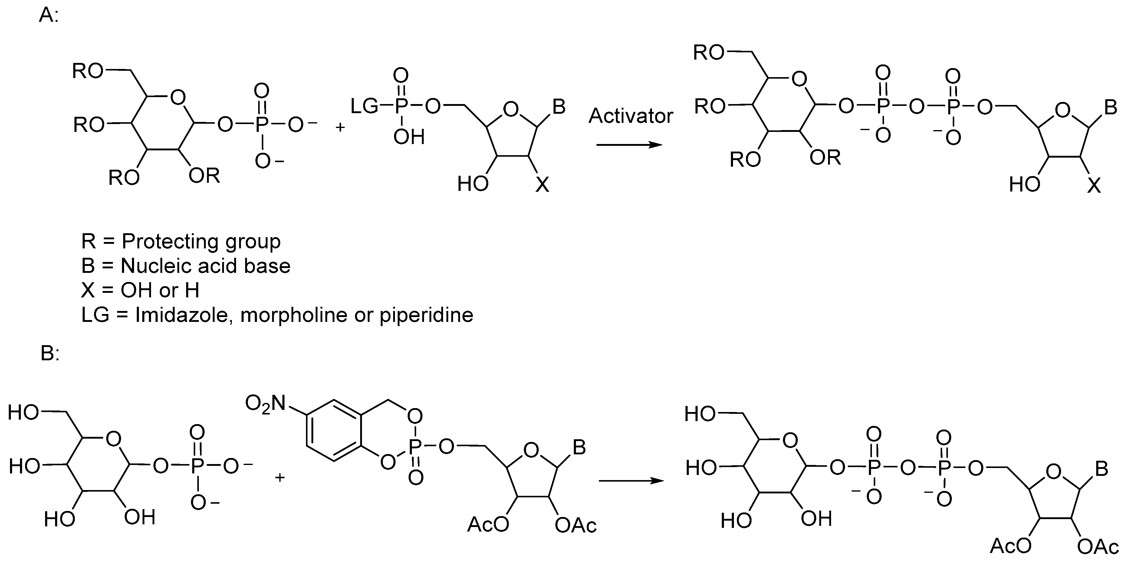 Molecules 25 05755 sch008 Molecules 25 05755 sch008