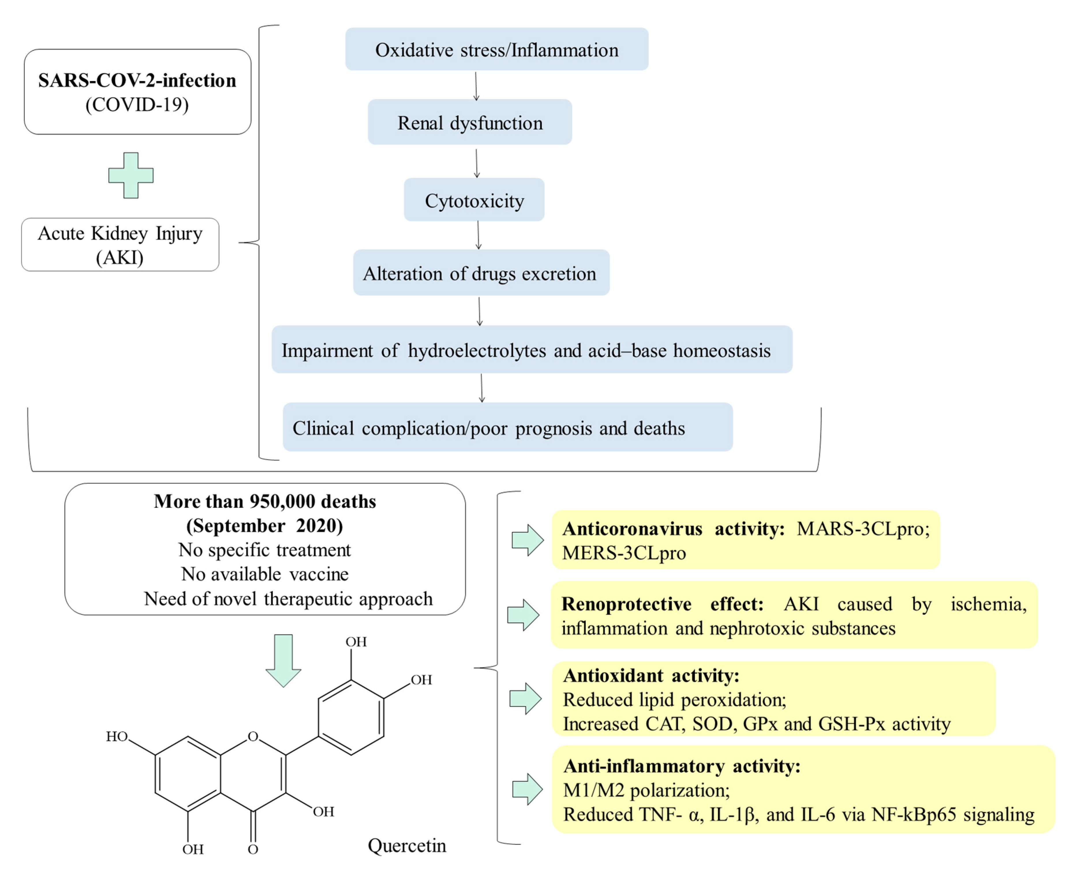 Molecules 25 05772 g001