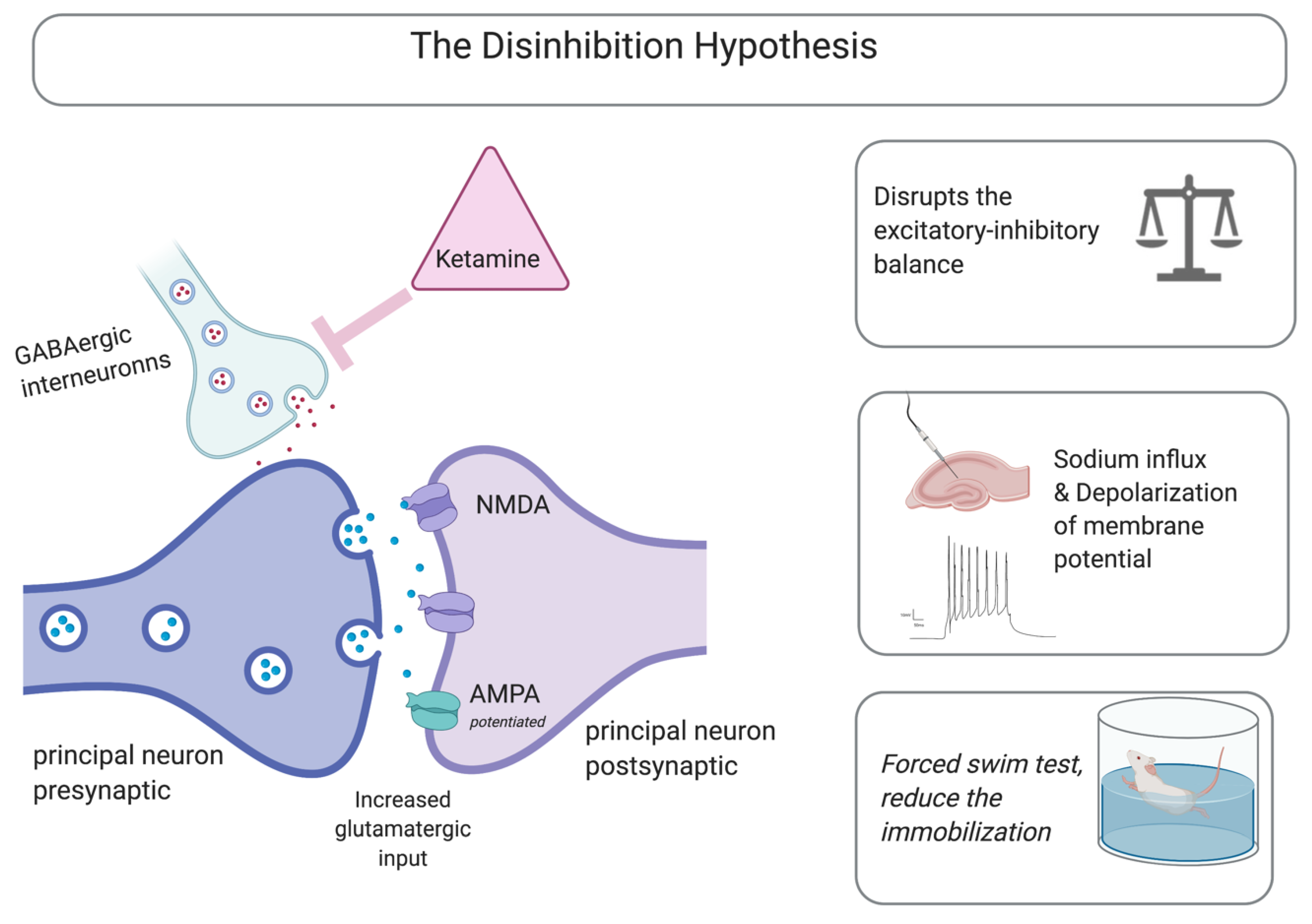 Molecules 25 05777 g001