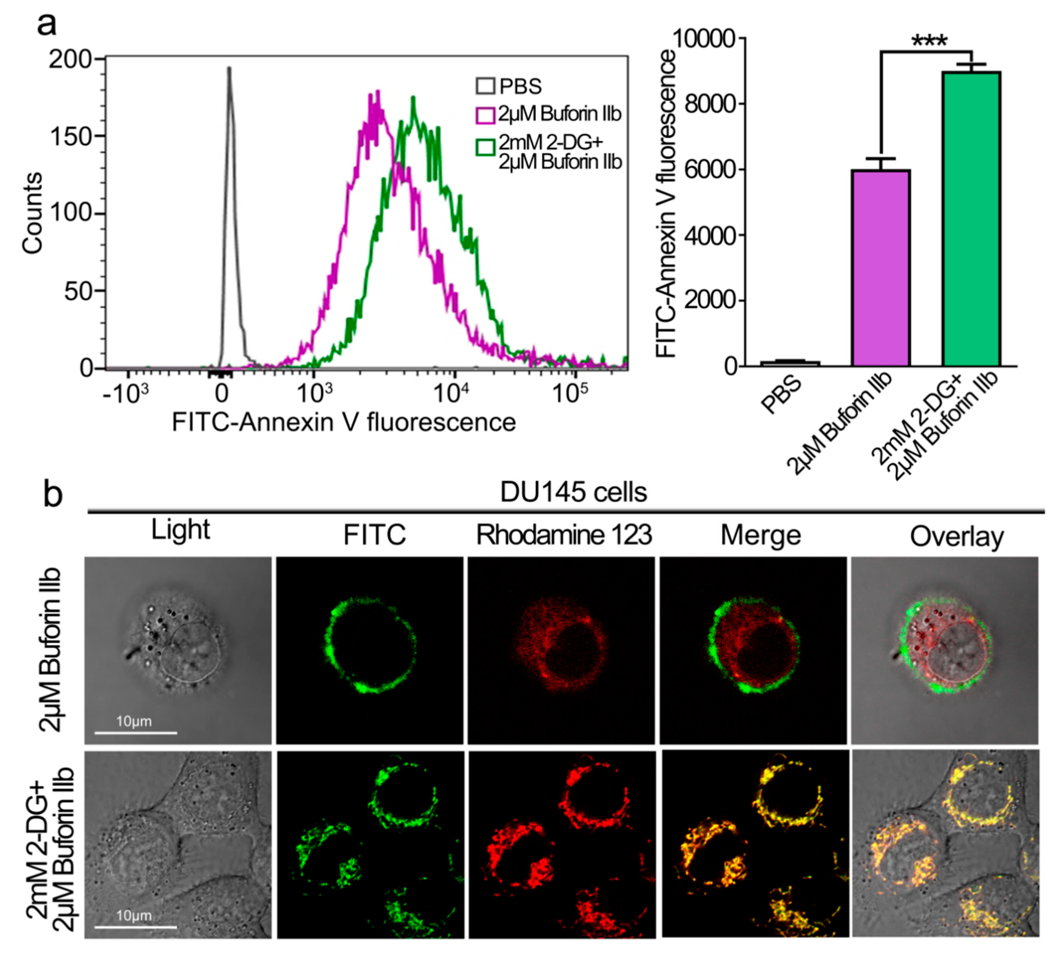 Molecules 25 05778 g004