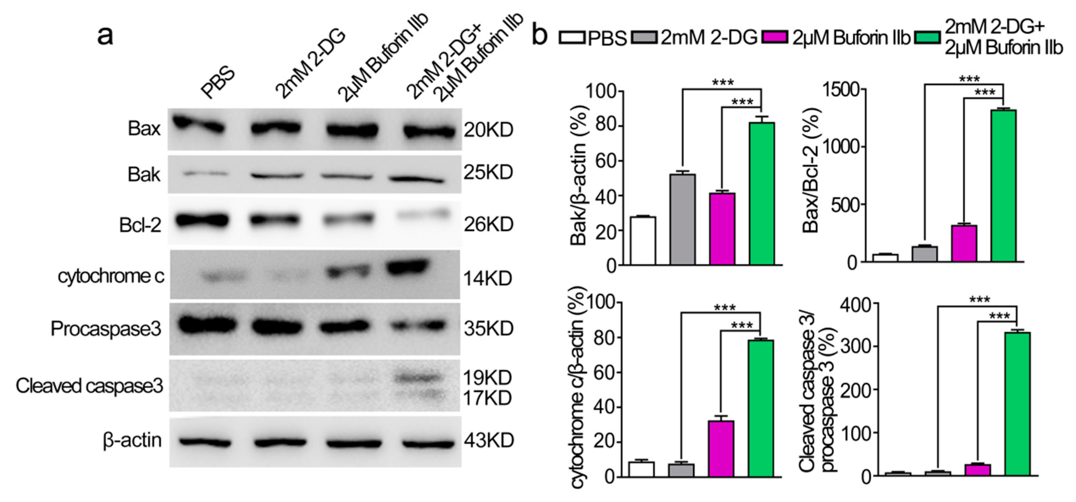 Molecules 25 05778 g006