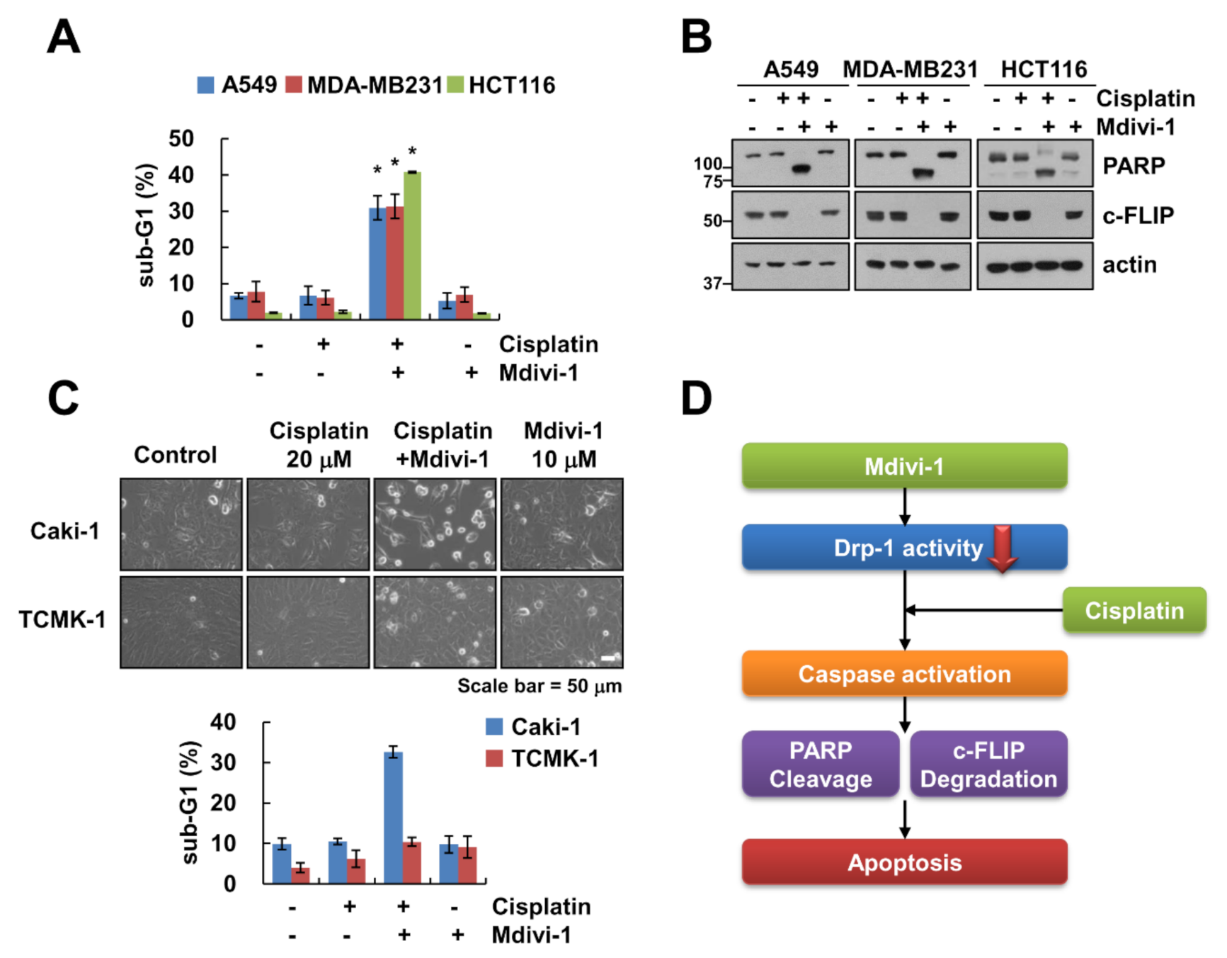Molecules 25 05793 g005 Molecules 25 05793 g005