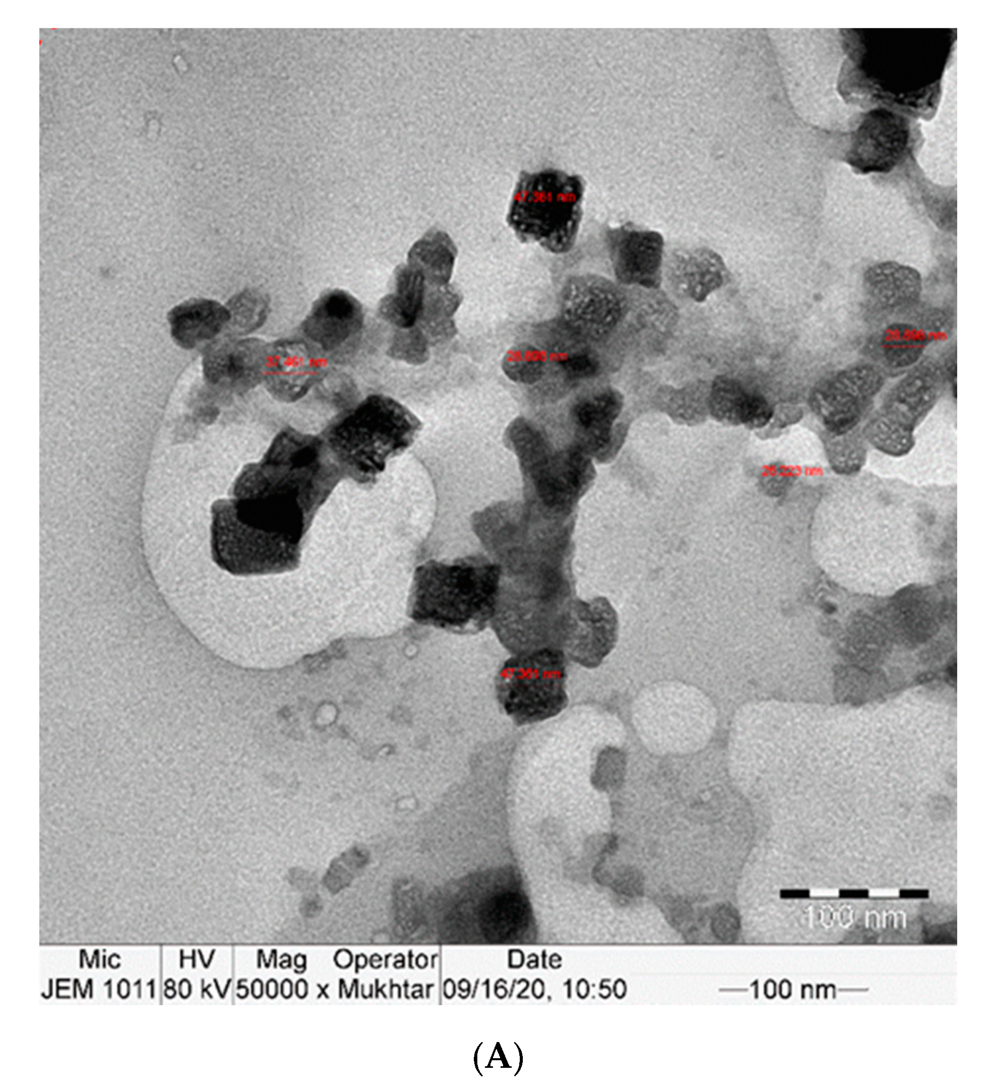Molecules 25 05801 g001a Molecules 25 05801 g001a