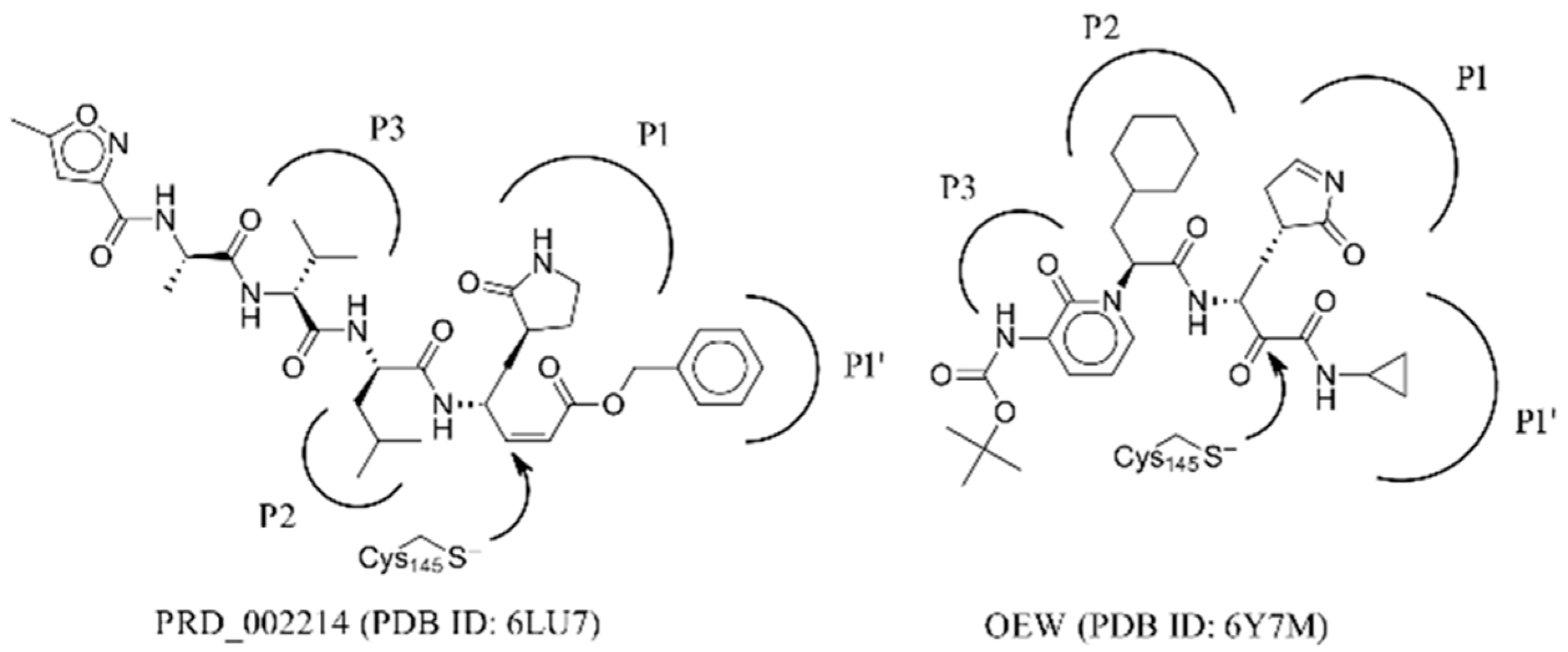 Molecules 25 05808 g001 Molecules 25 05808 g001