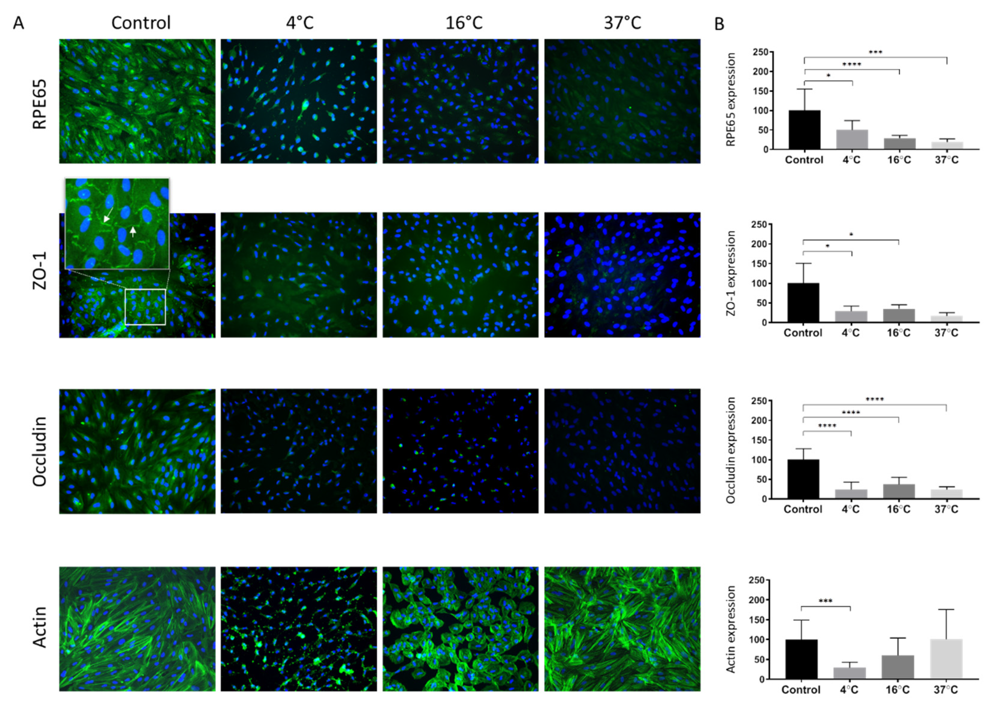 Molecules 25 05809 g004 Molecules 25 05809 g004