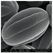 Molecules 25 05817 i006