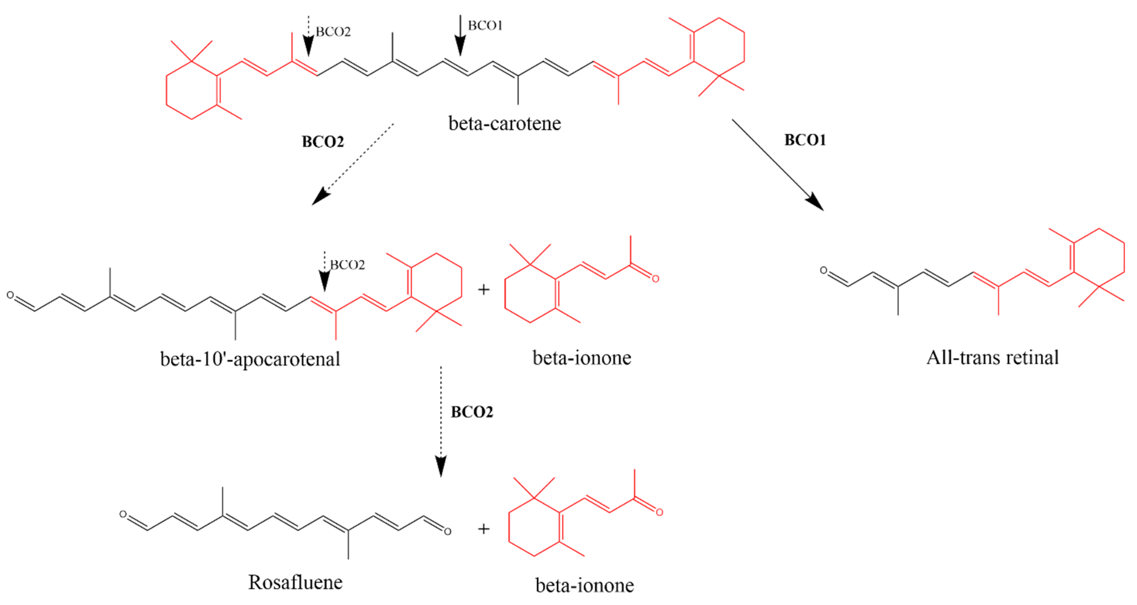 Molecules 25 05822 sch002 Molecules 25 05822 sch002