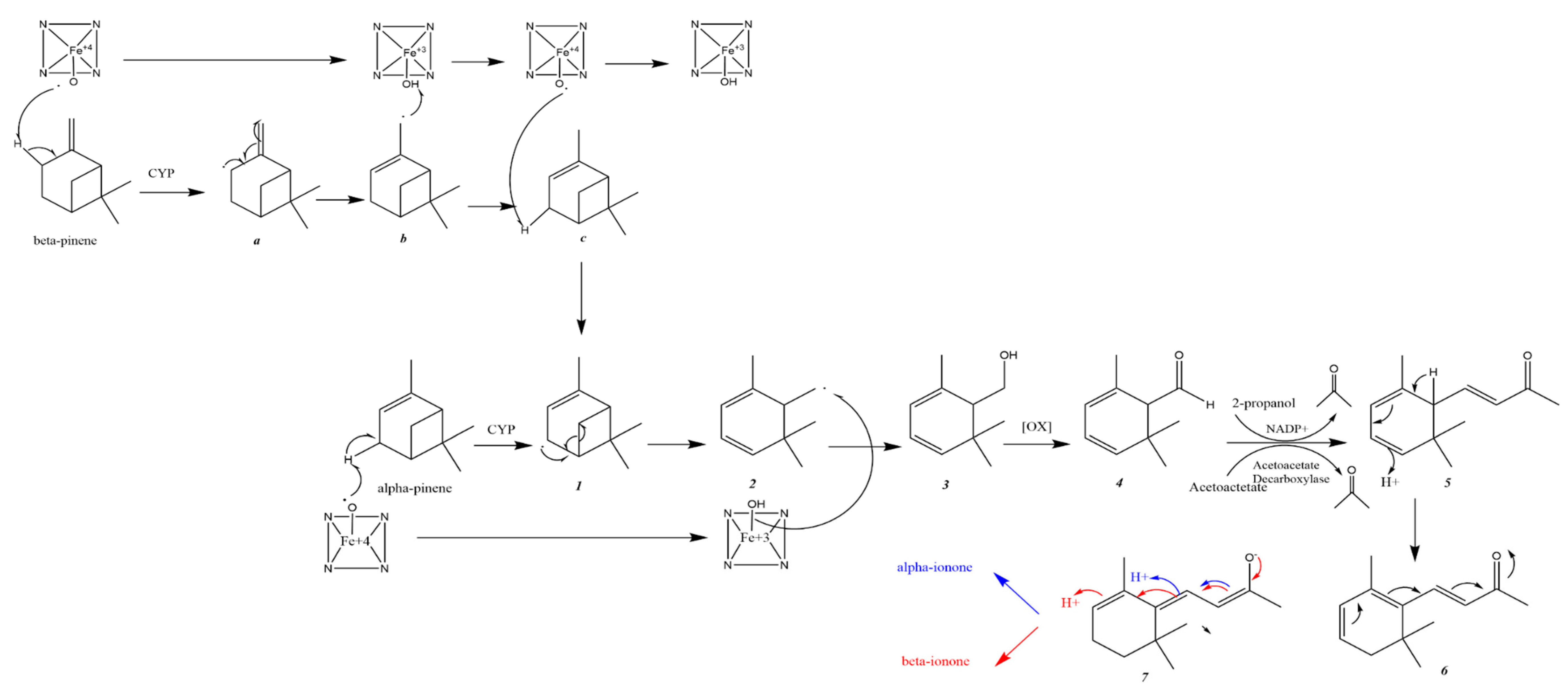 Molecules 25 05822 sch003 Molecules 25 05822 sch003