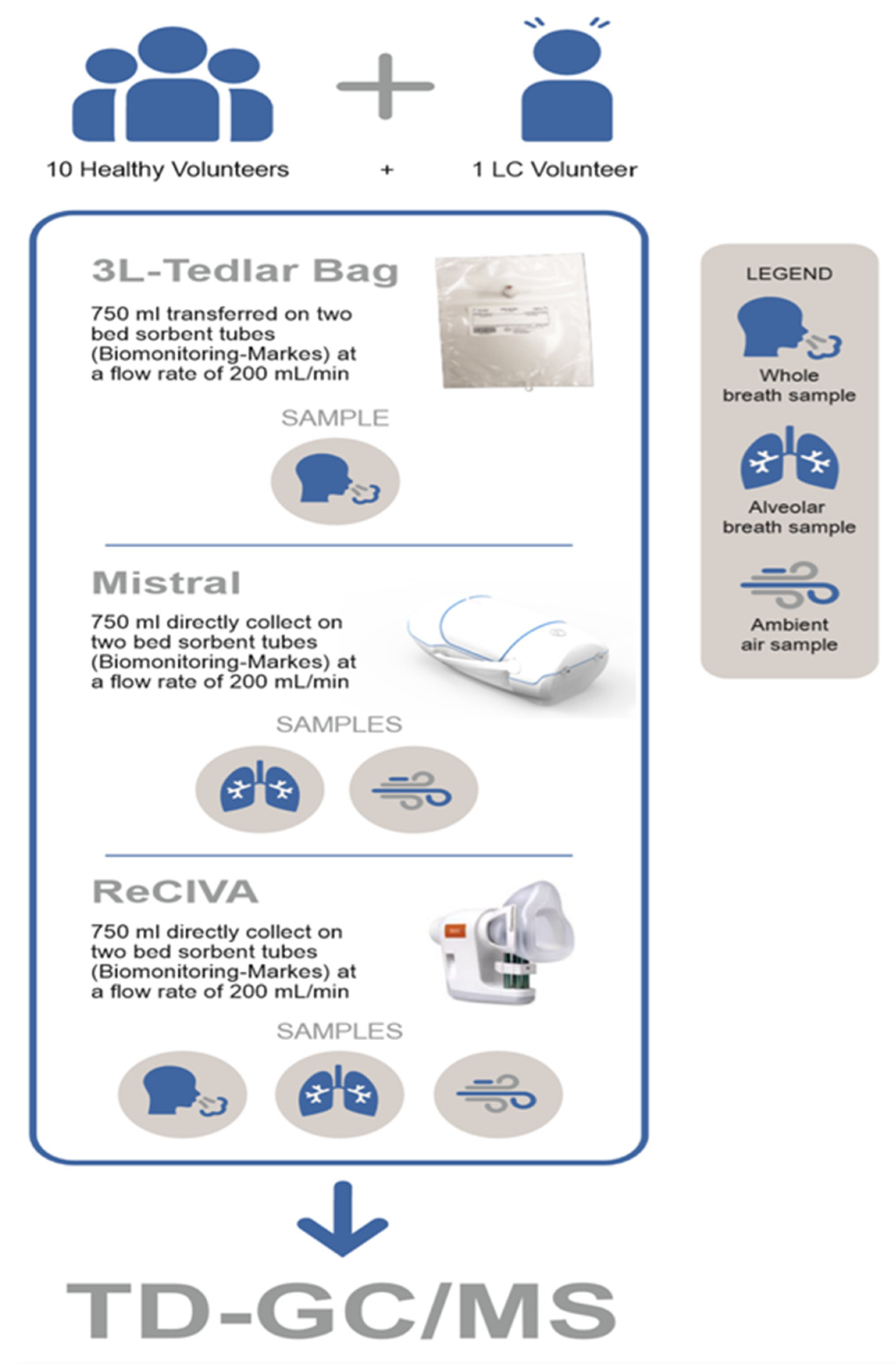 Molecules 25 05823 g001