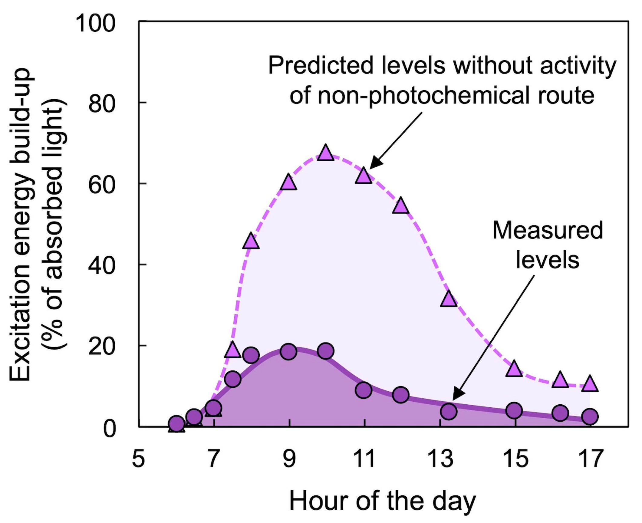 Molecules 25 05825 g008