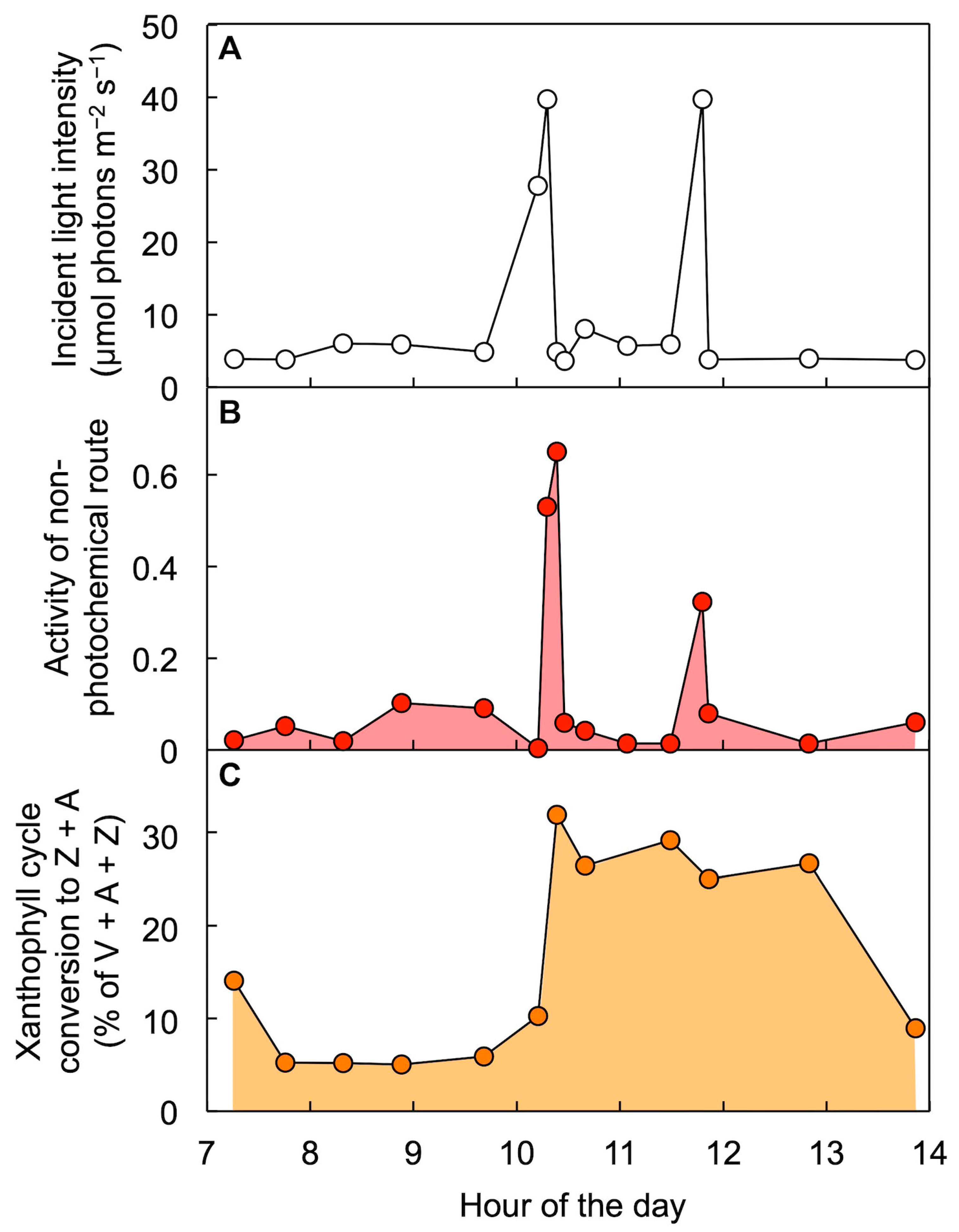 Molecules 25 05825 g010