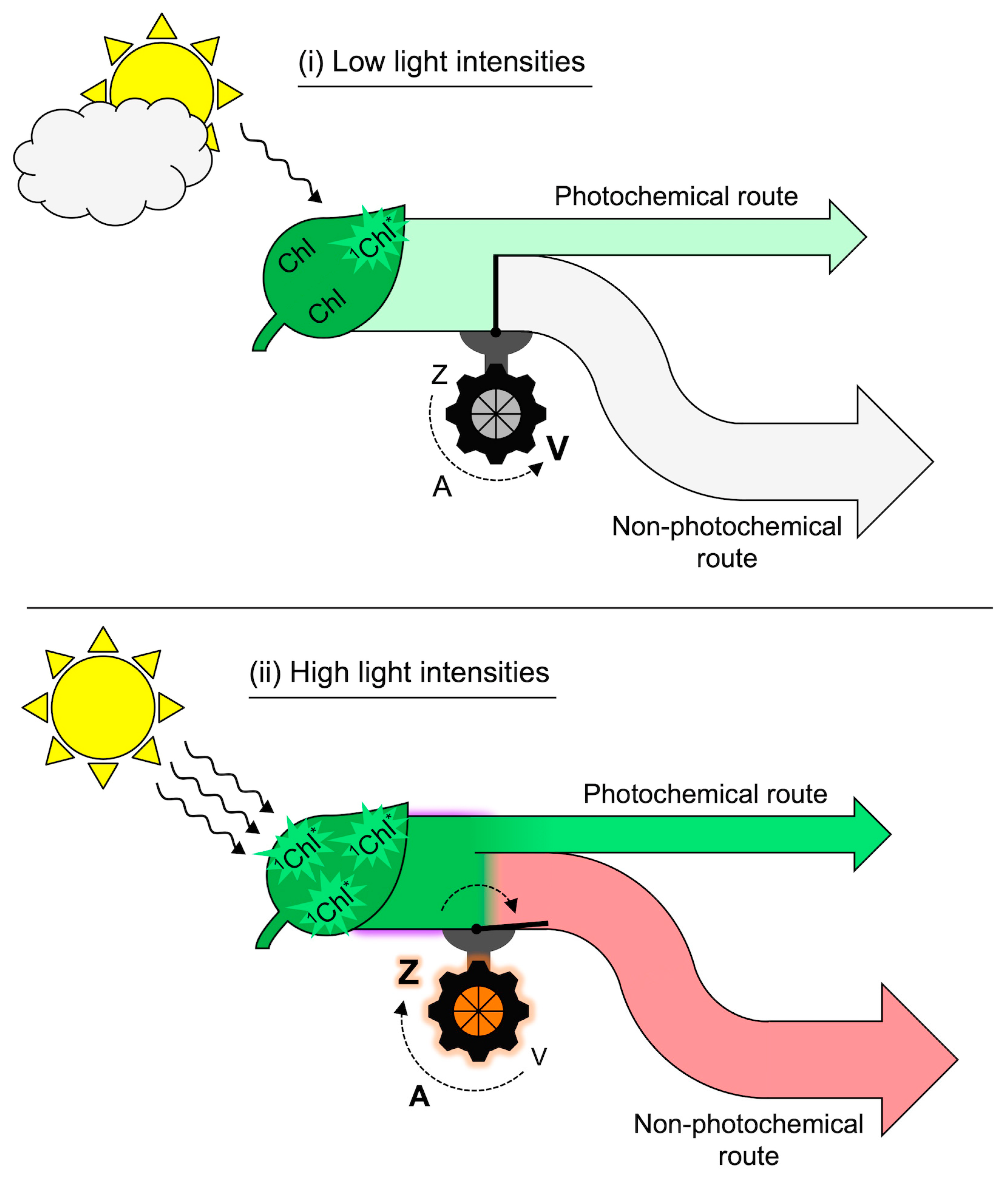 Molecules 25 05825 g012
