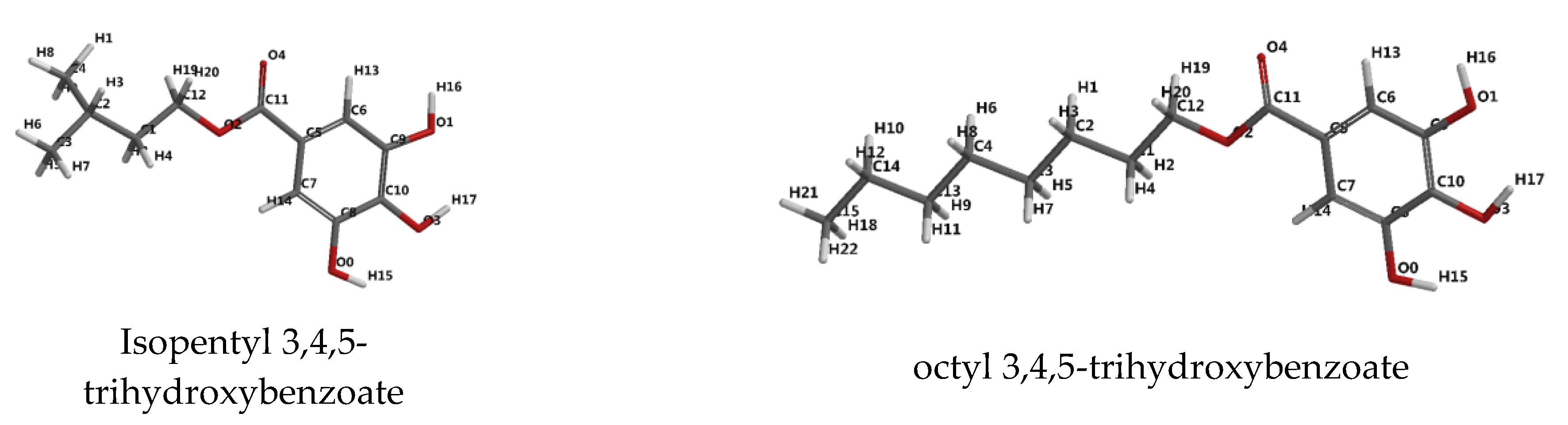 Molecules 25 05828 g001b Molecules 25 05828 g001b