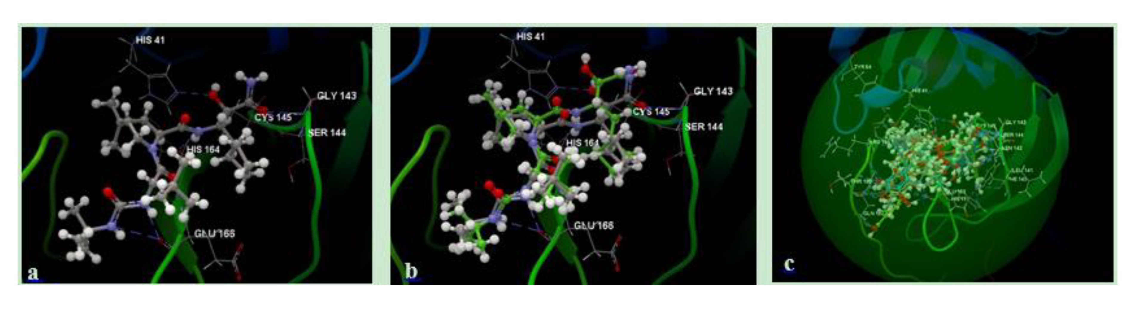 Molecules 25 05828 g002 Molecules 25 05828 g002