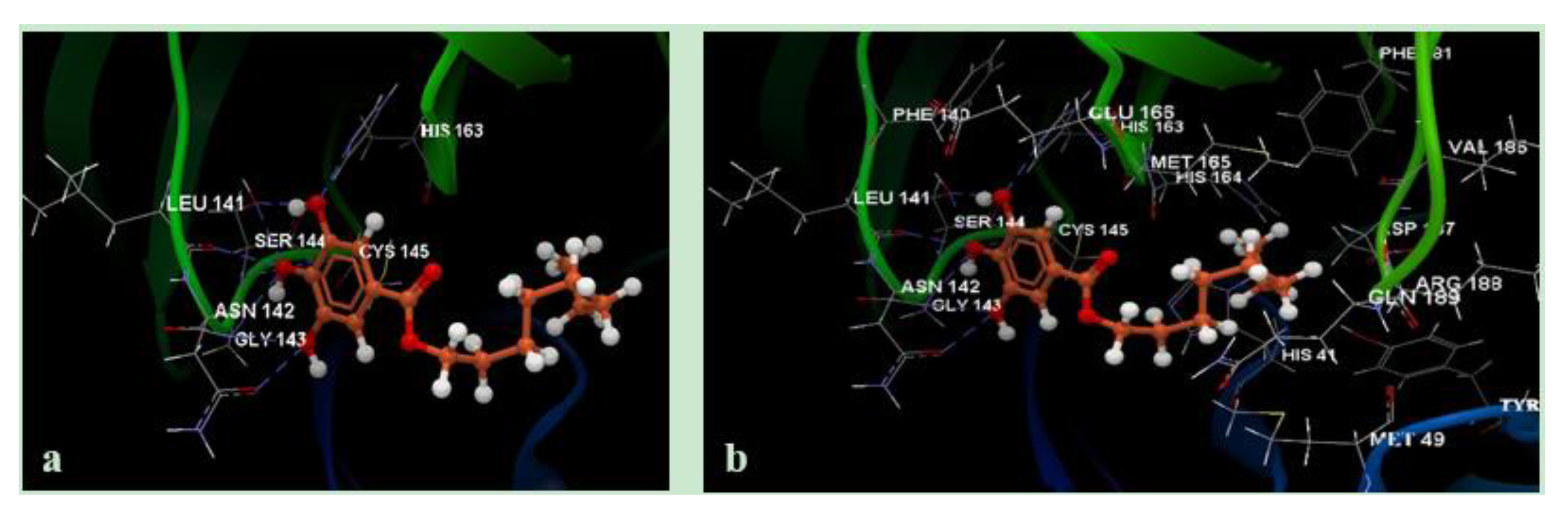 Molecules 25 05828 g004 Molecules 25 05828 g004