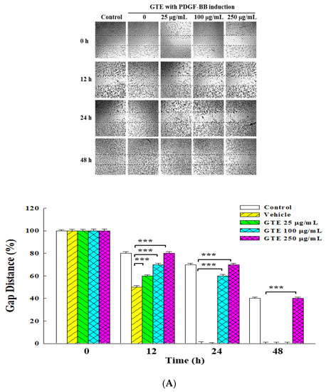 Molecules 25 05832 g002a Molecules 25 05832 g002a