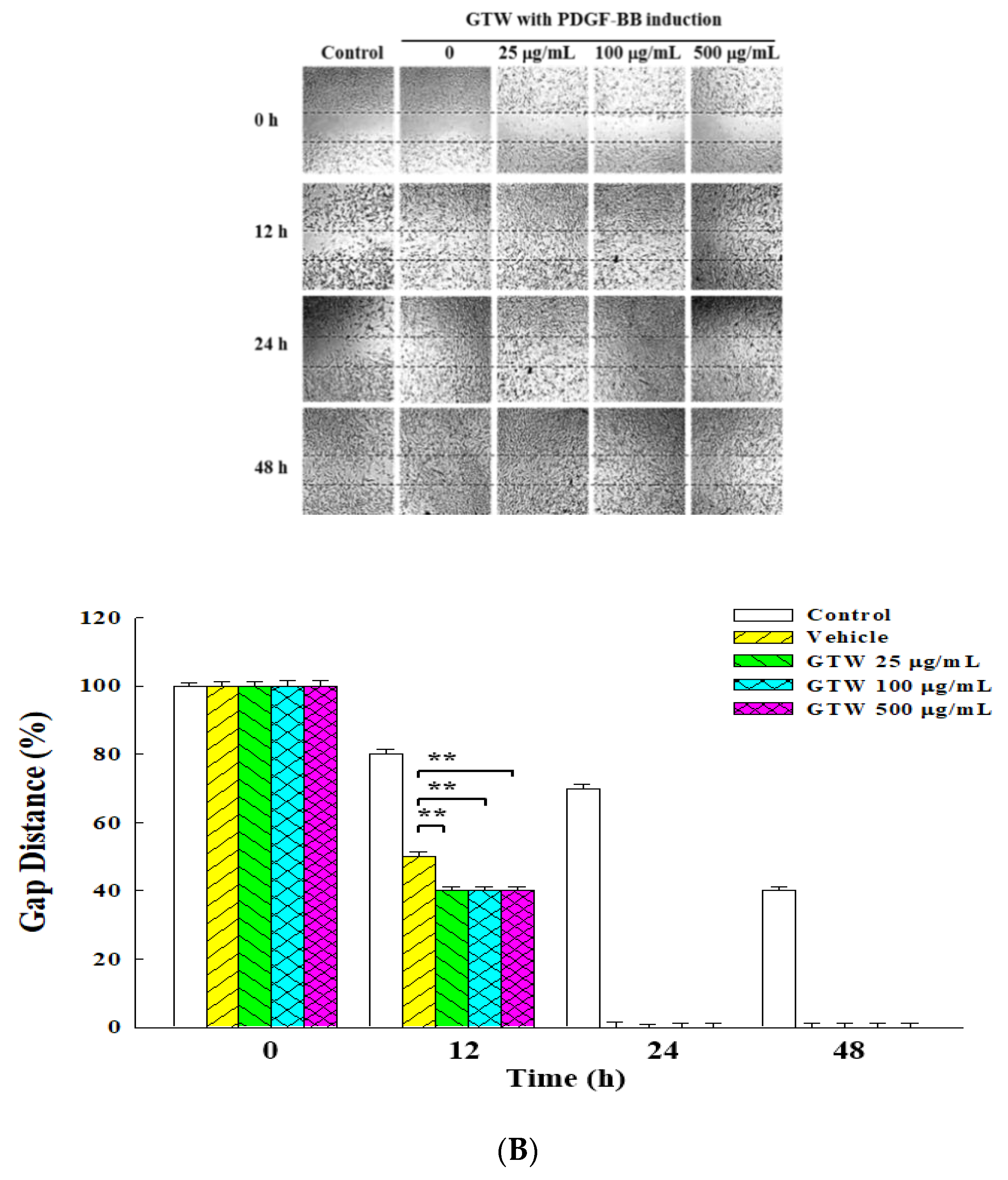 Molecules 25 05832 g002b Molecules 25 05832 g002b