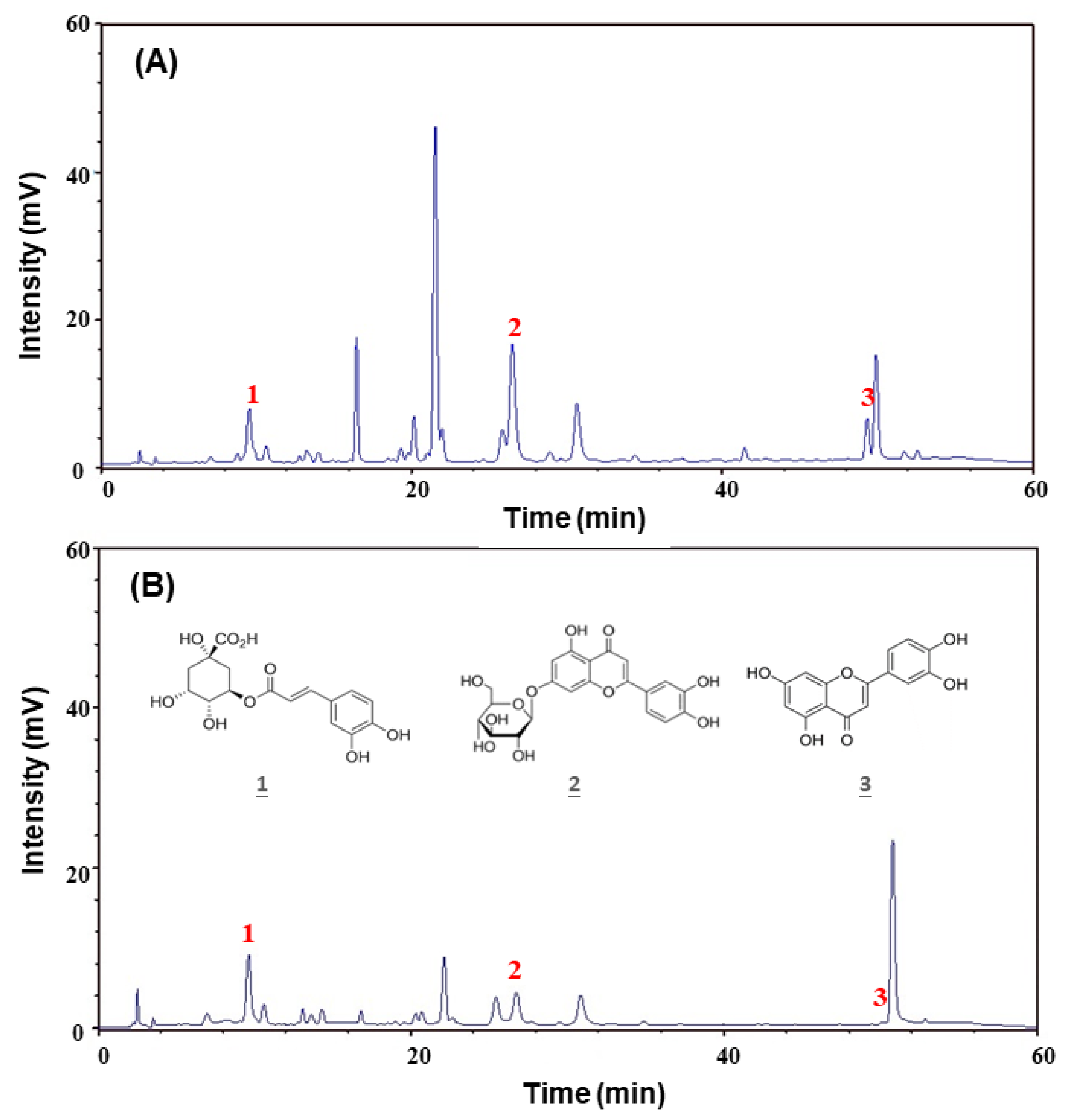 Molecules 25 05832 g006 Molecules 25 05832 g006