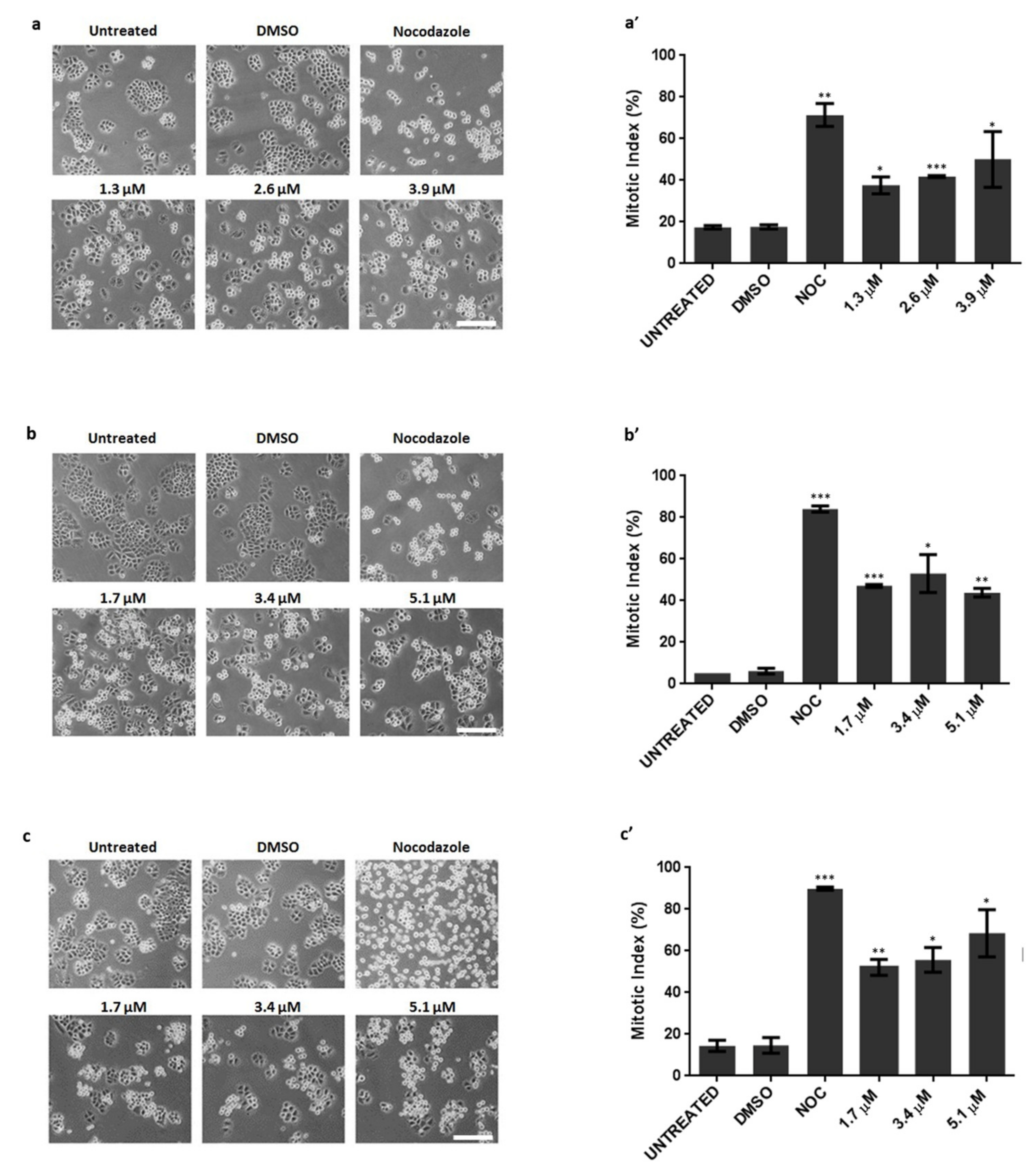 Molecules 25 05845 g002