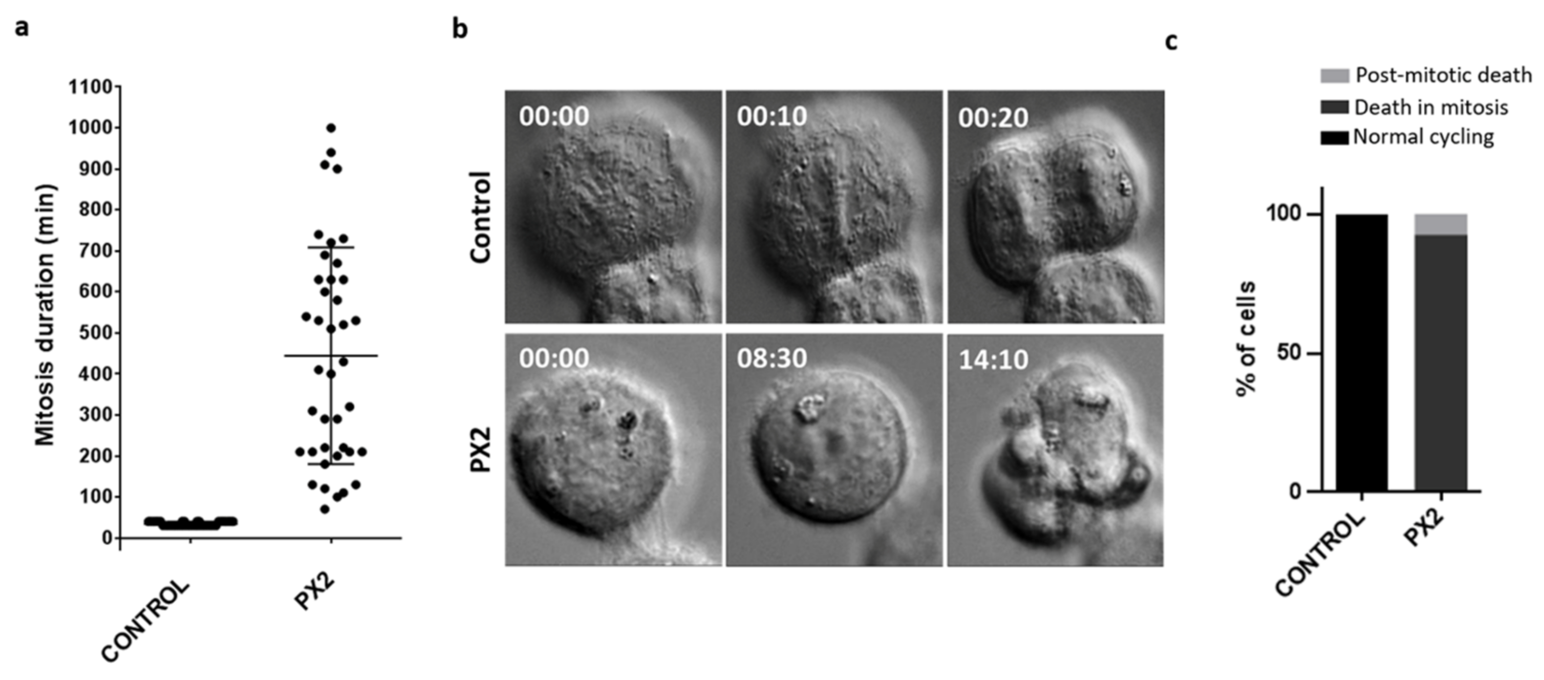 Molecules 25 05845 g006