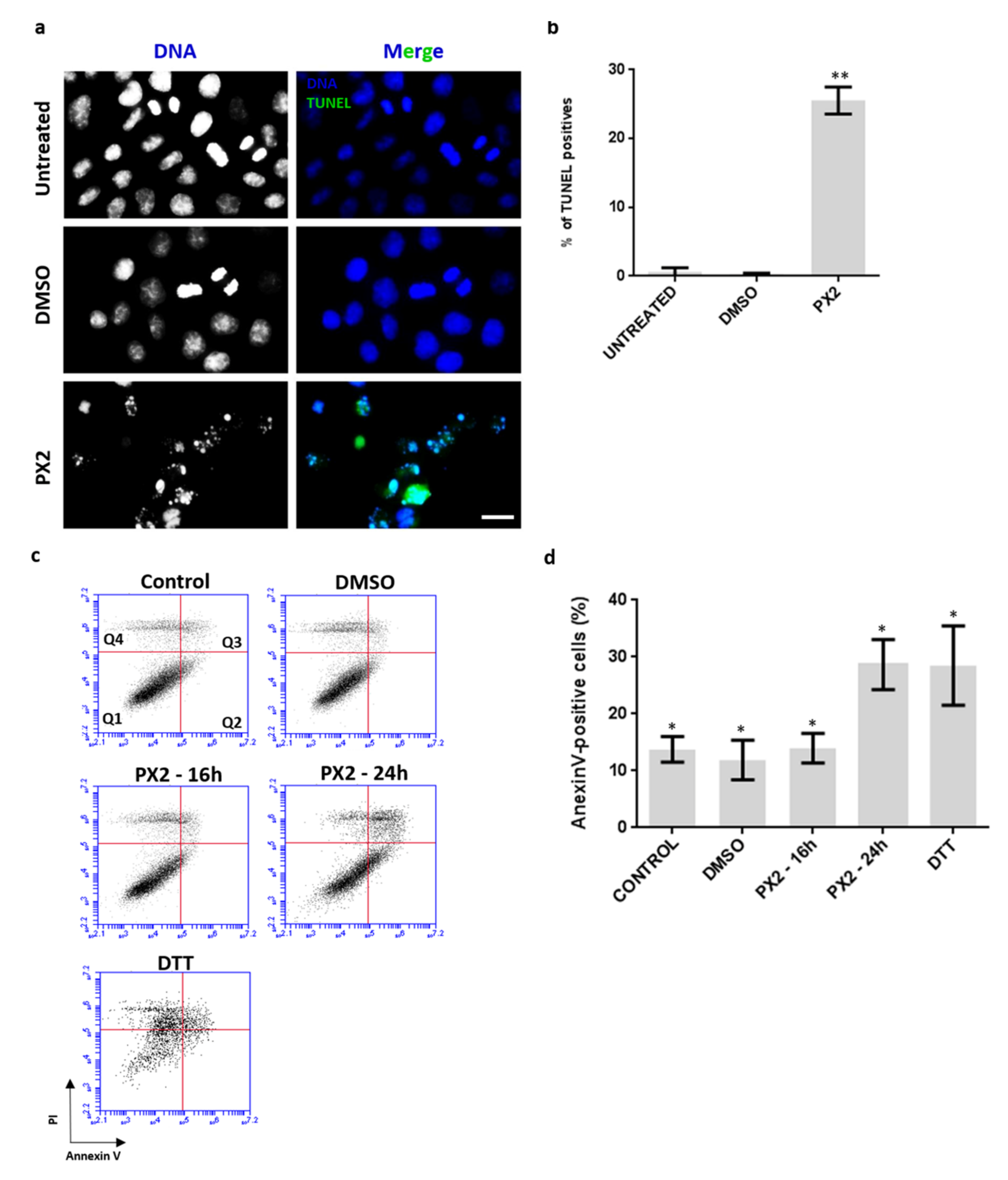 Molecules 25 05845 g007