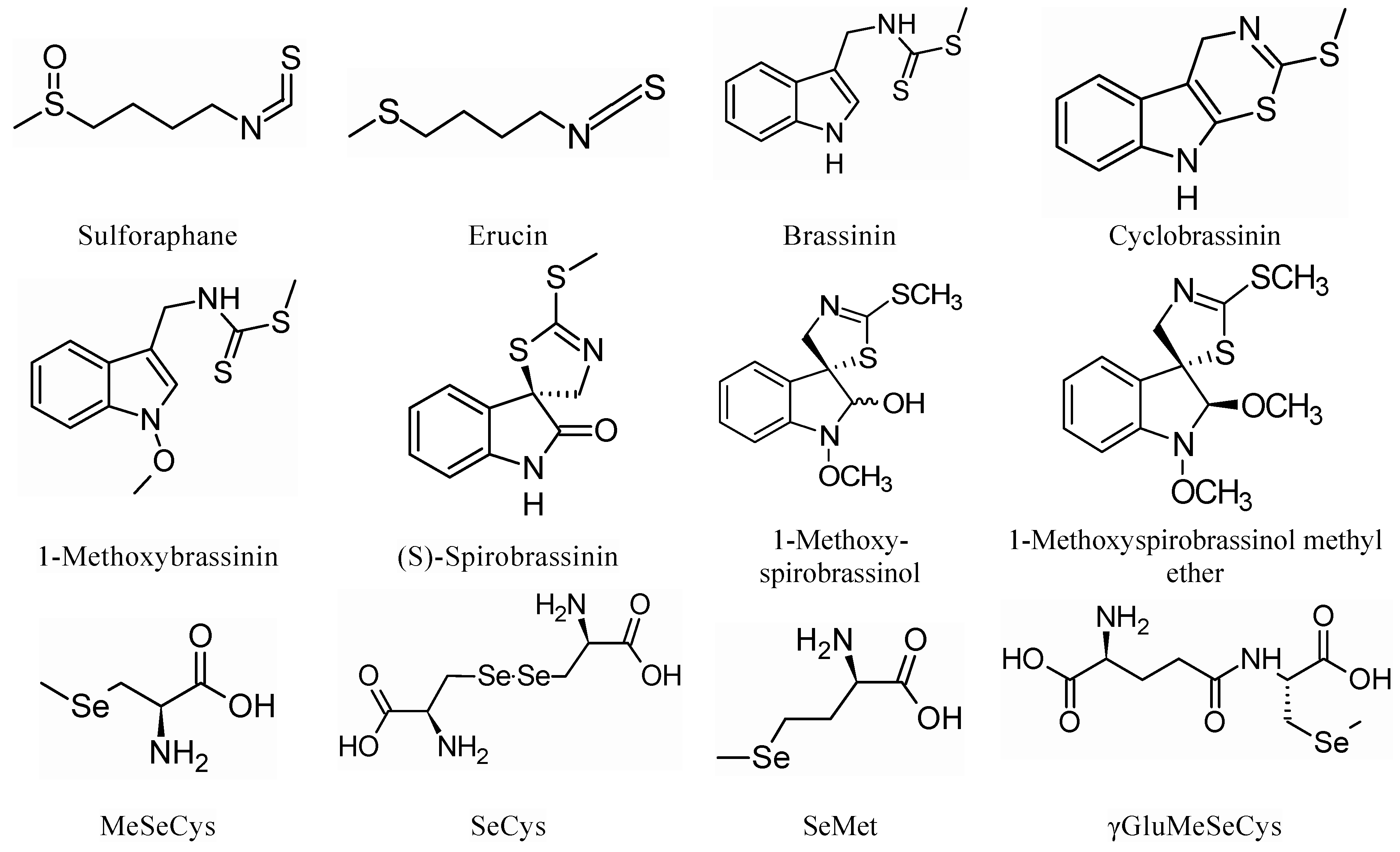 Molecules 25 05846 g001 Molecules 25 05846 g001