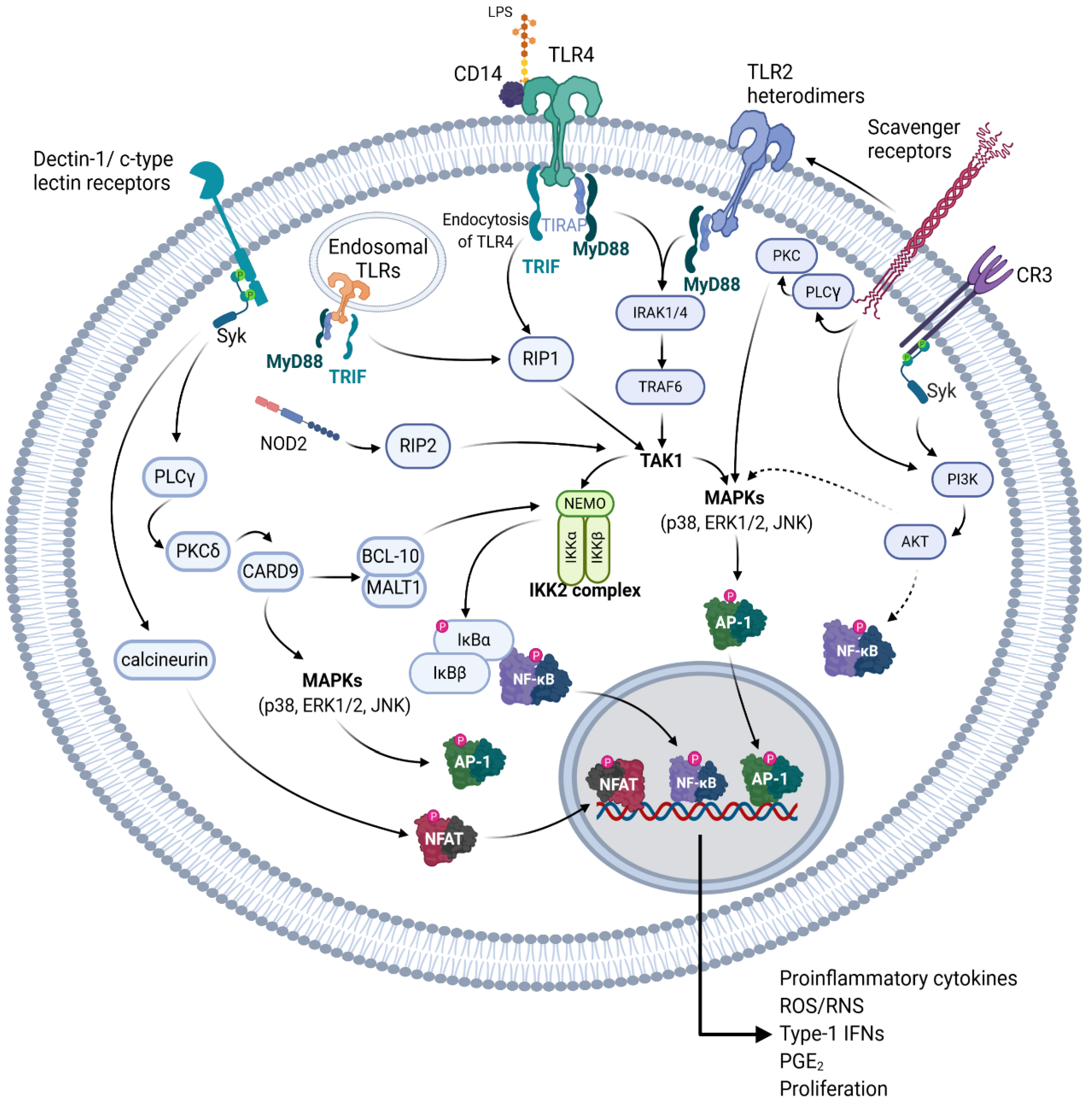 Molecules 25 05854 g003