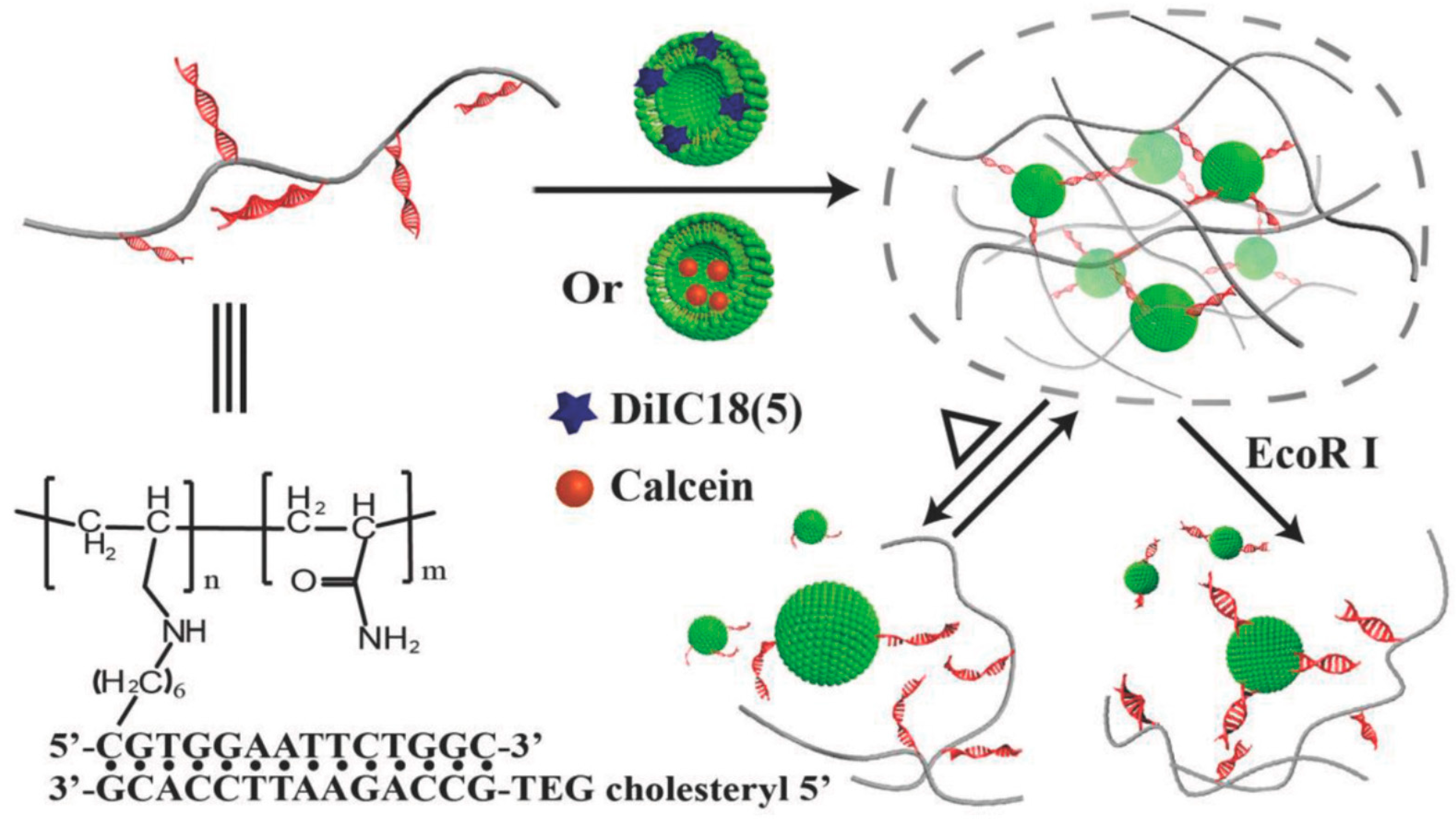 Molecules 25 05858 g004 Molecules 25 05858 g004