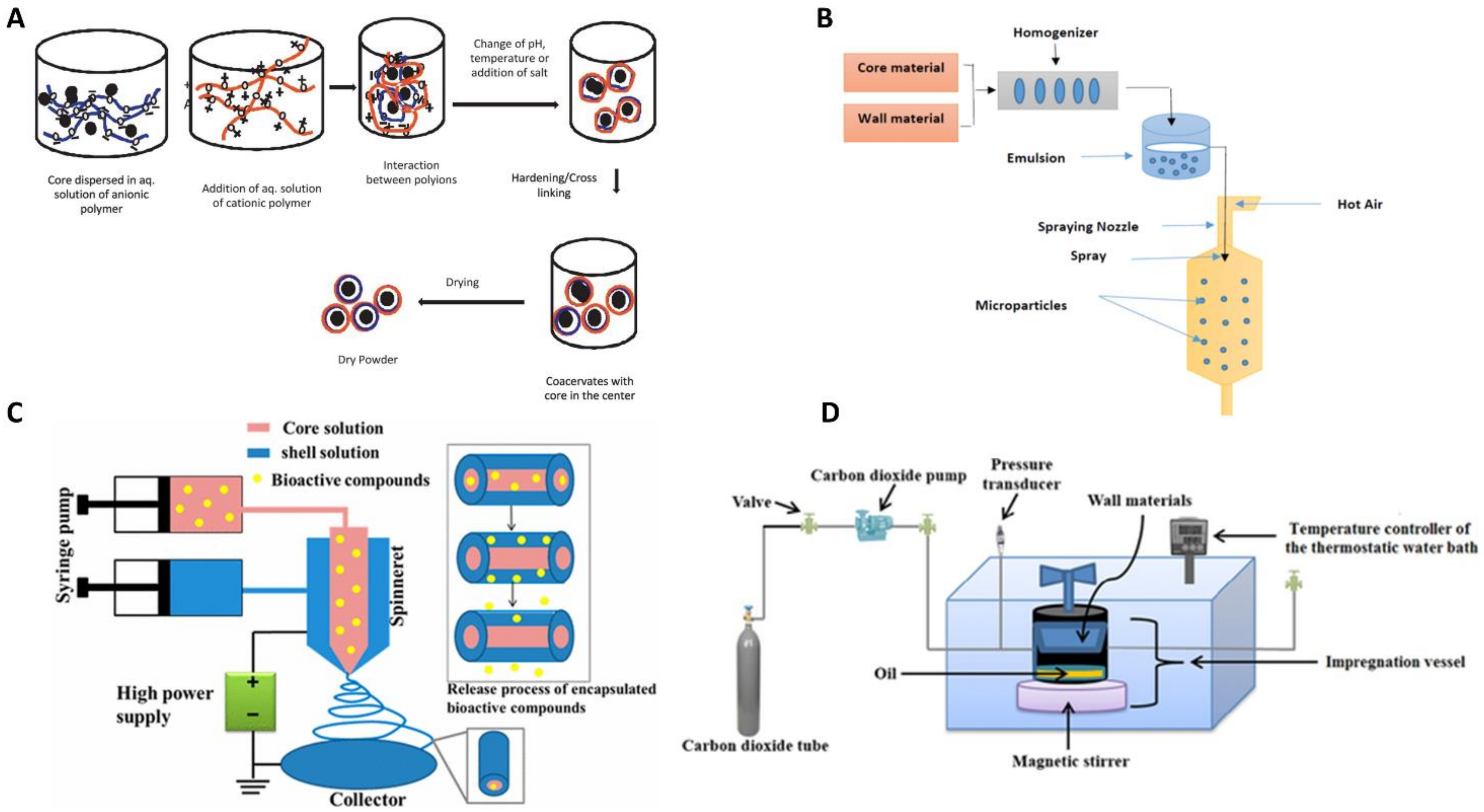 Molecules 25 05878 g001
