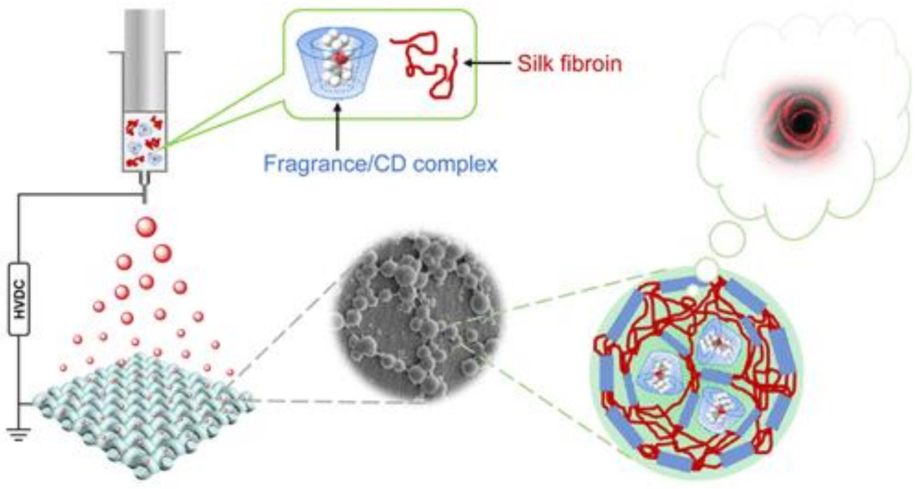 Molecules 25 05878 g002