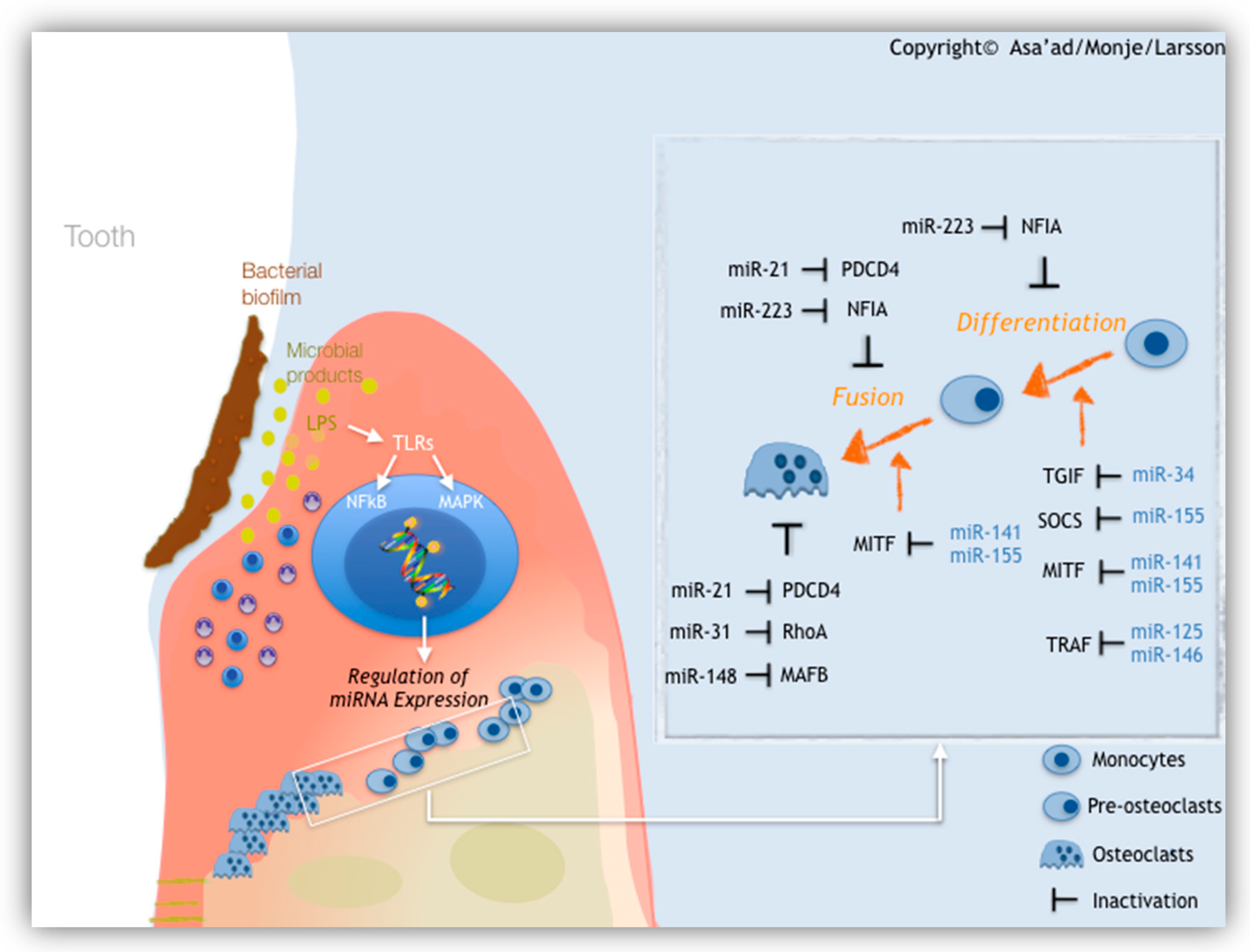 Molecules 25 05879 g002