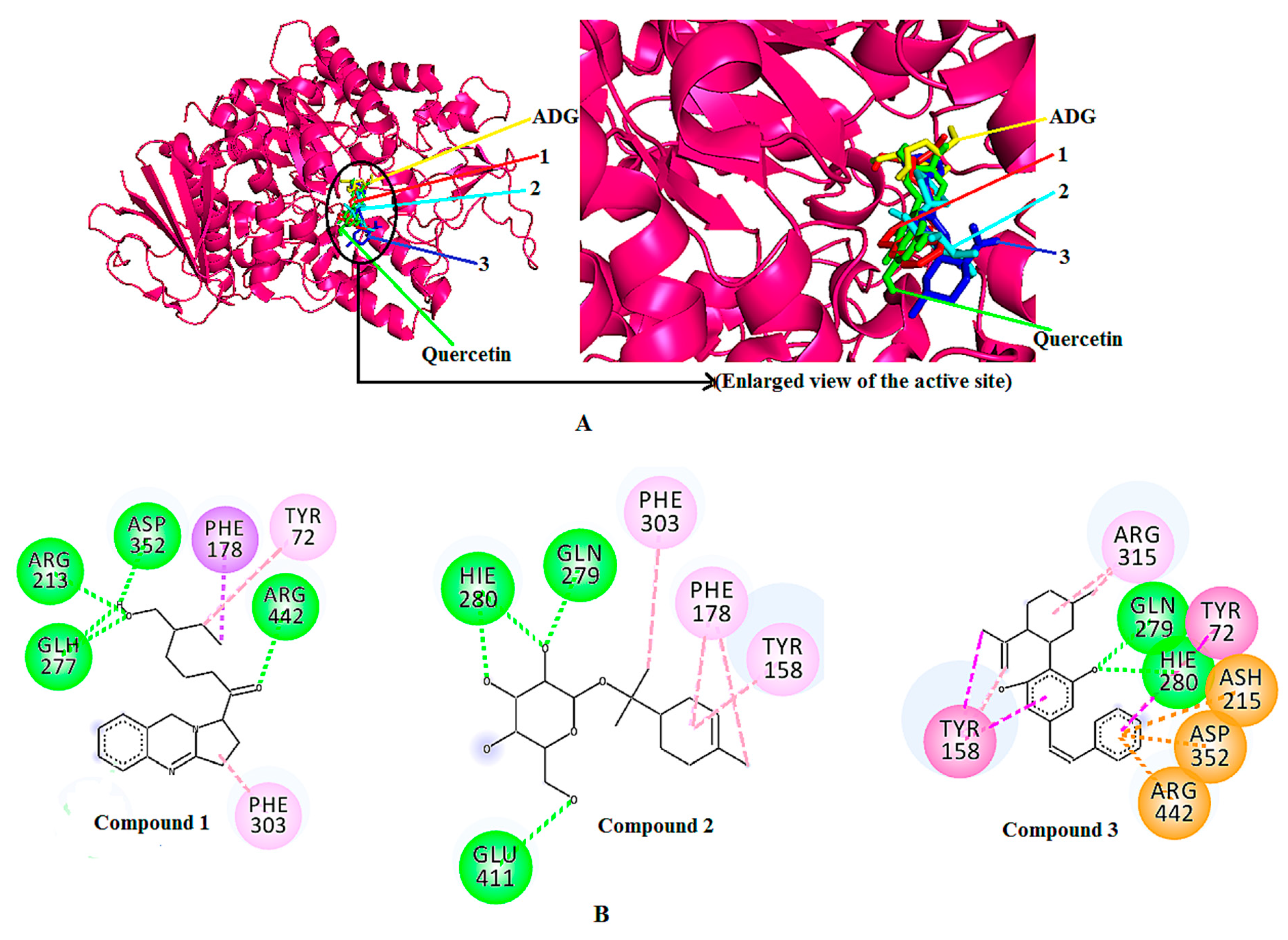 Molecules 25 05885 g005 Molecules 25 05885 g005