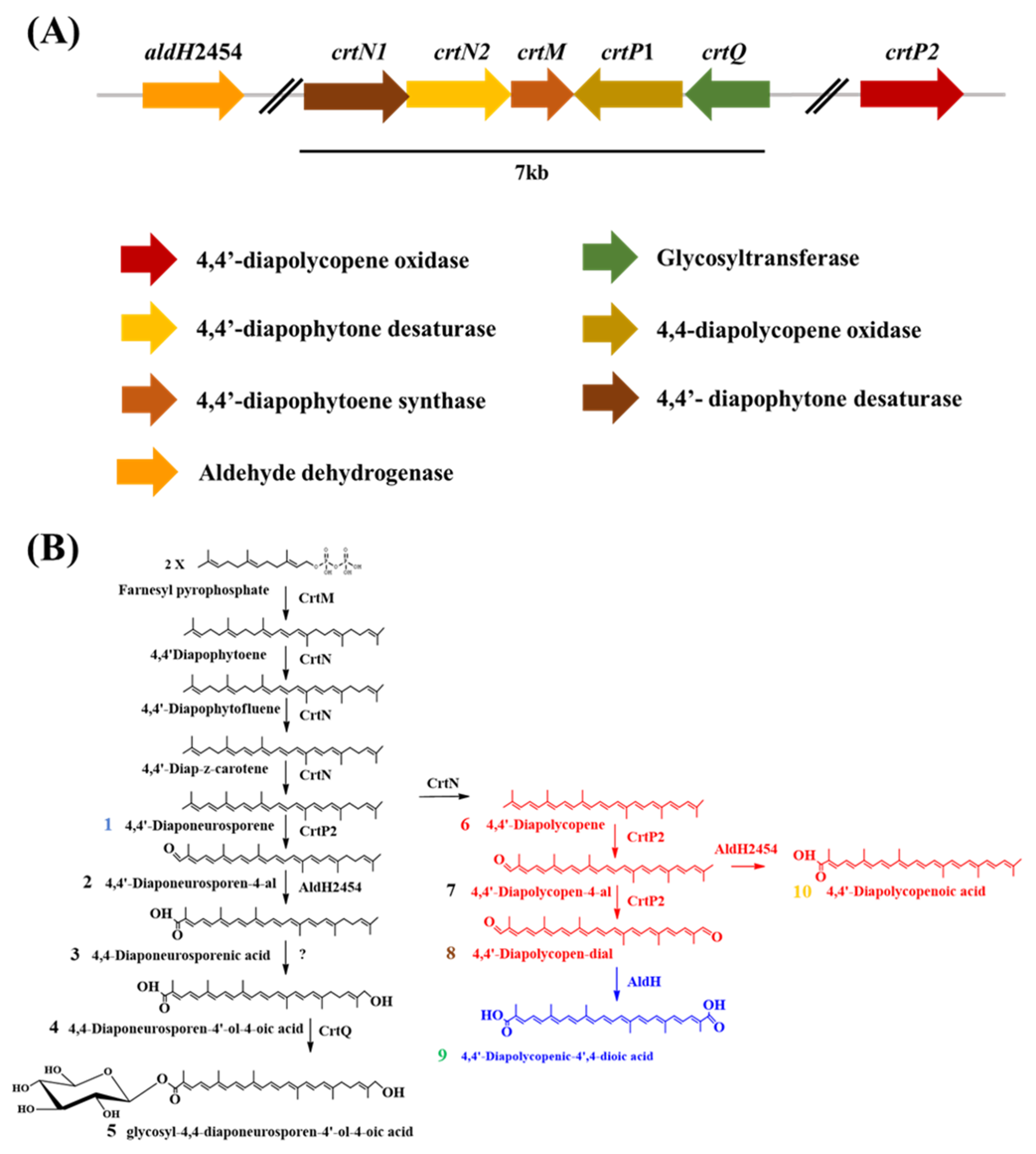 Molecules 25 05892 g001