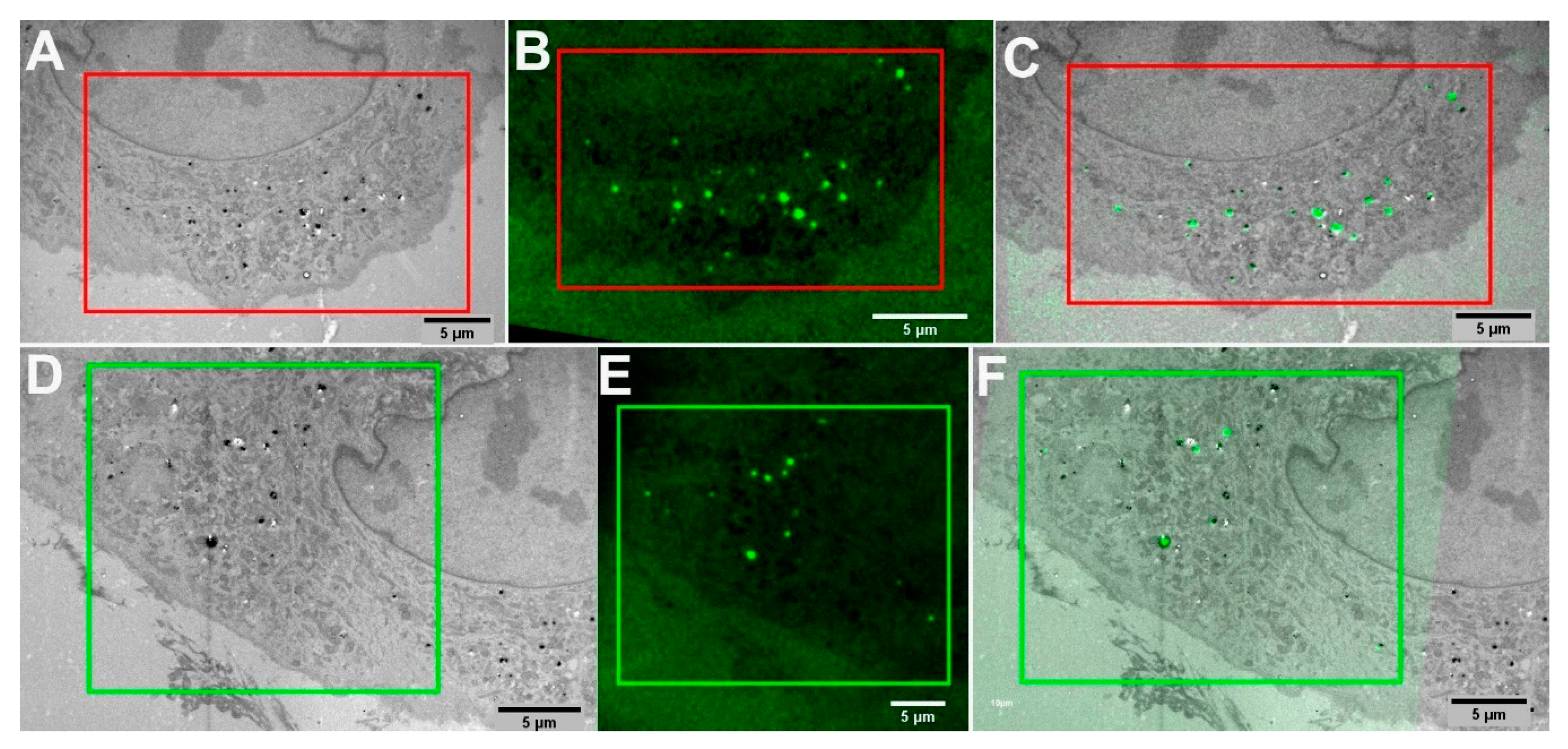 Molecules 25 05897 g003