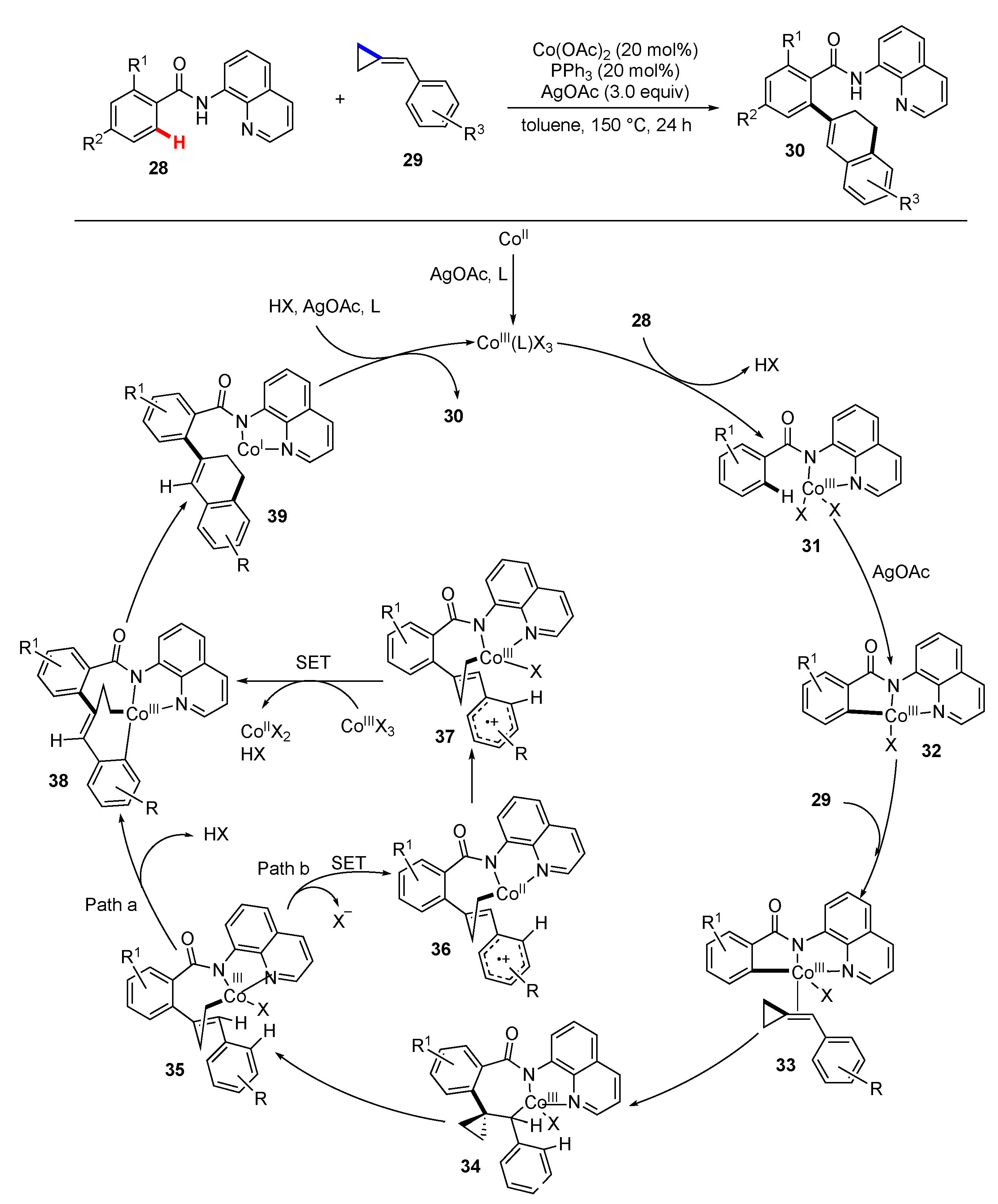 Molecules 25 05900 sch005