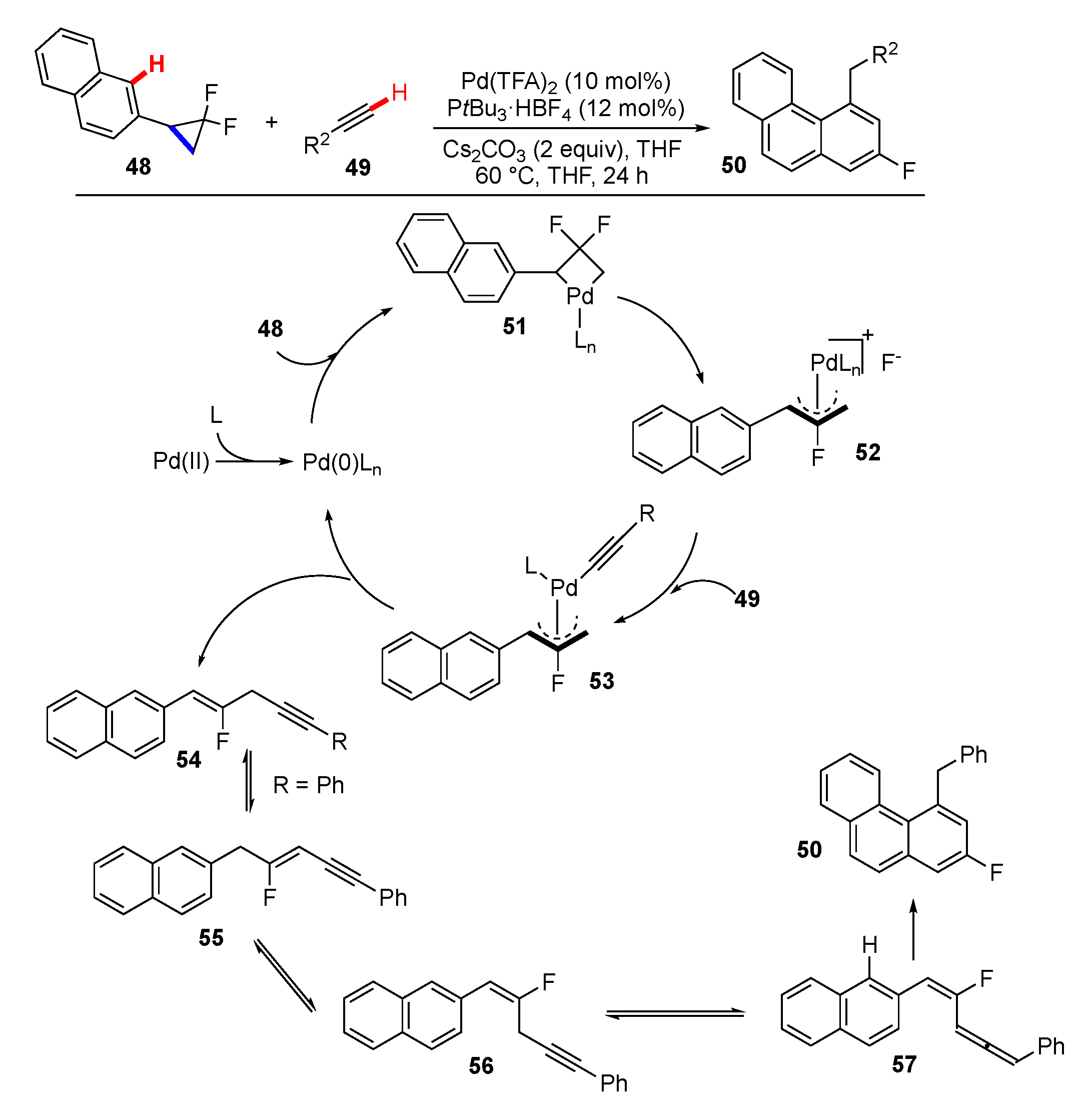 Molecules 25 05900 sch007