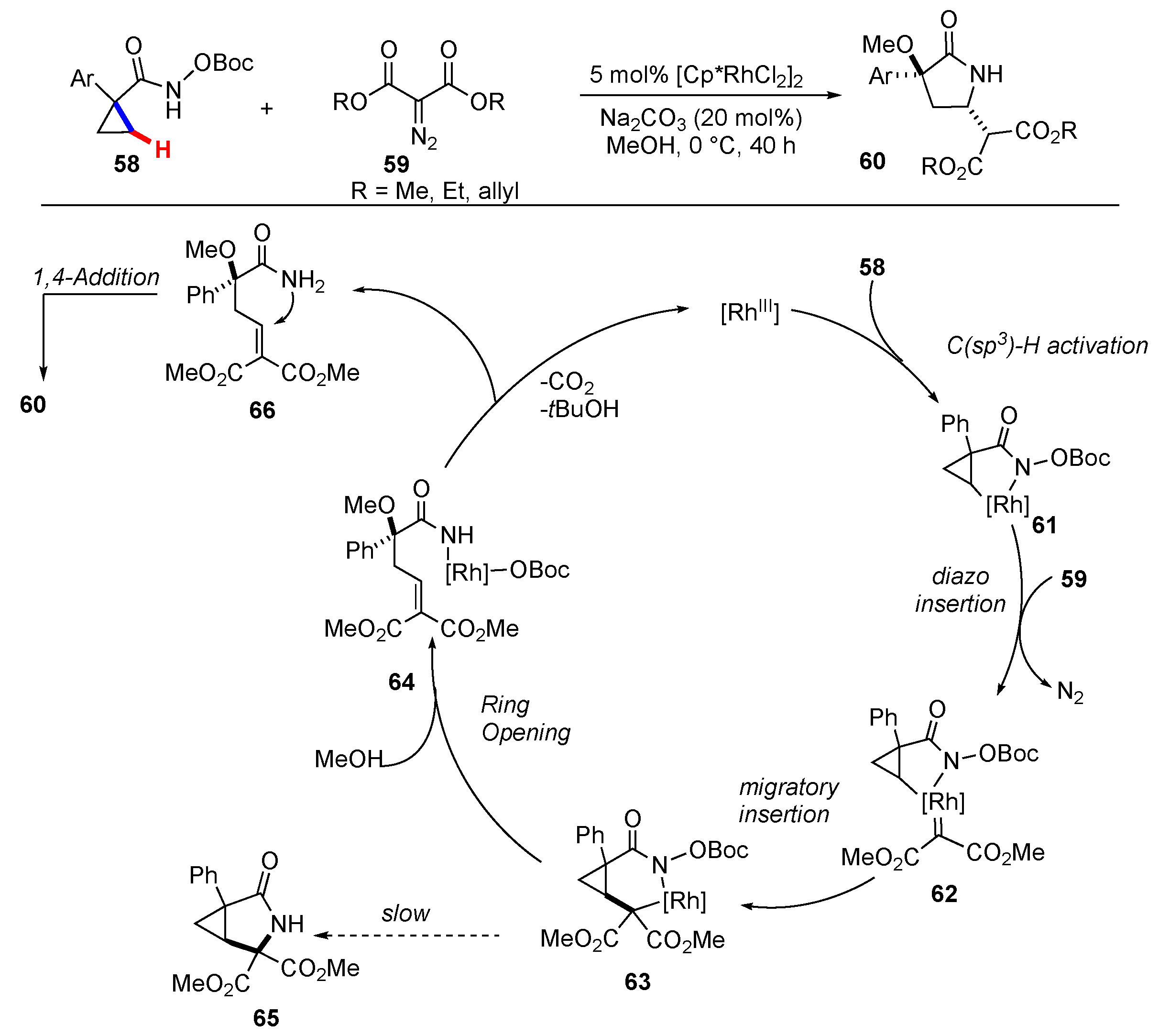 Molecules 25 05900 sch008