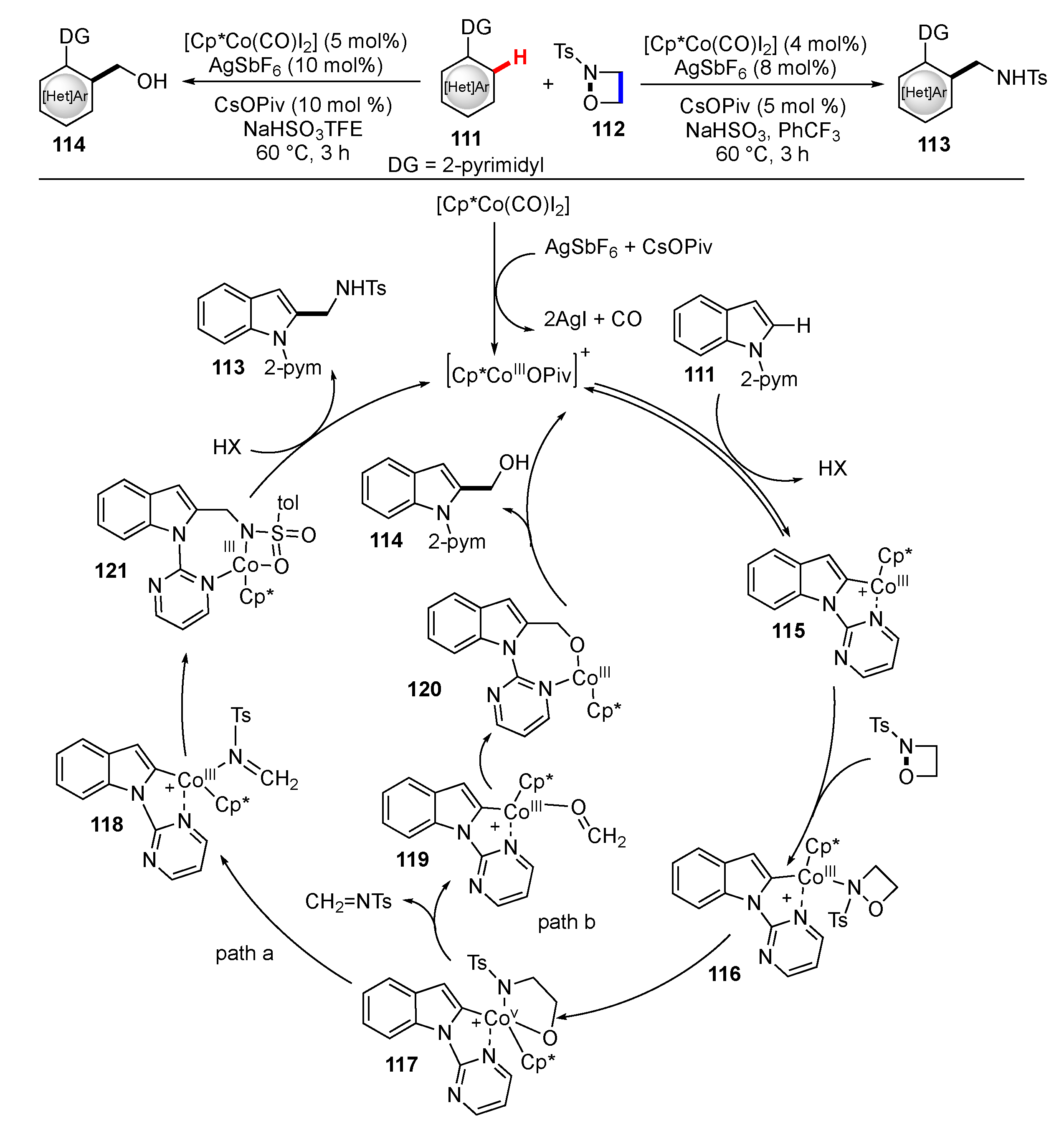 Molecules 25 05900 sch015
