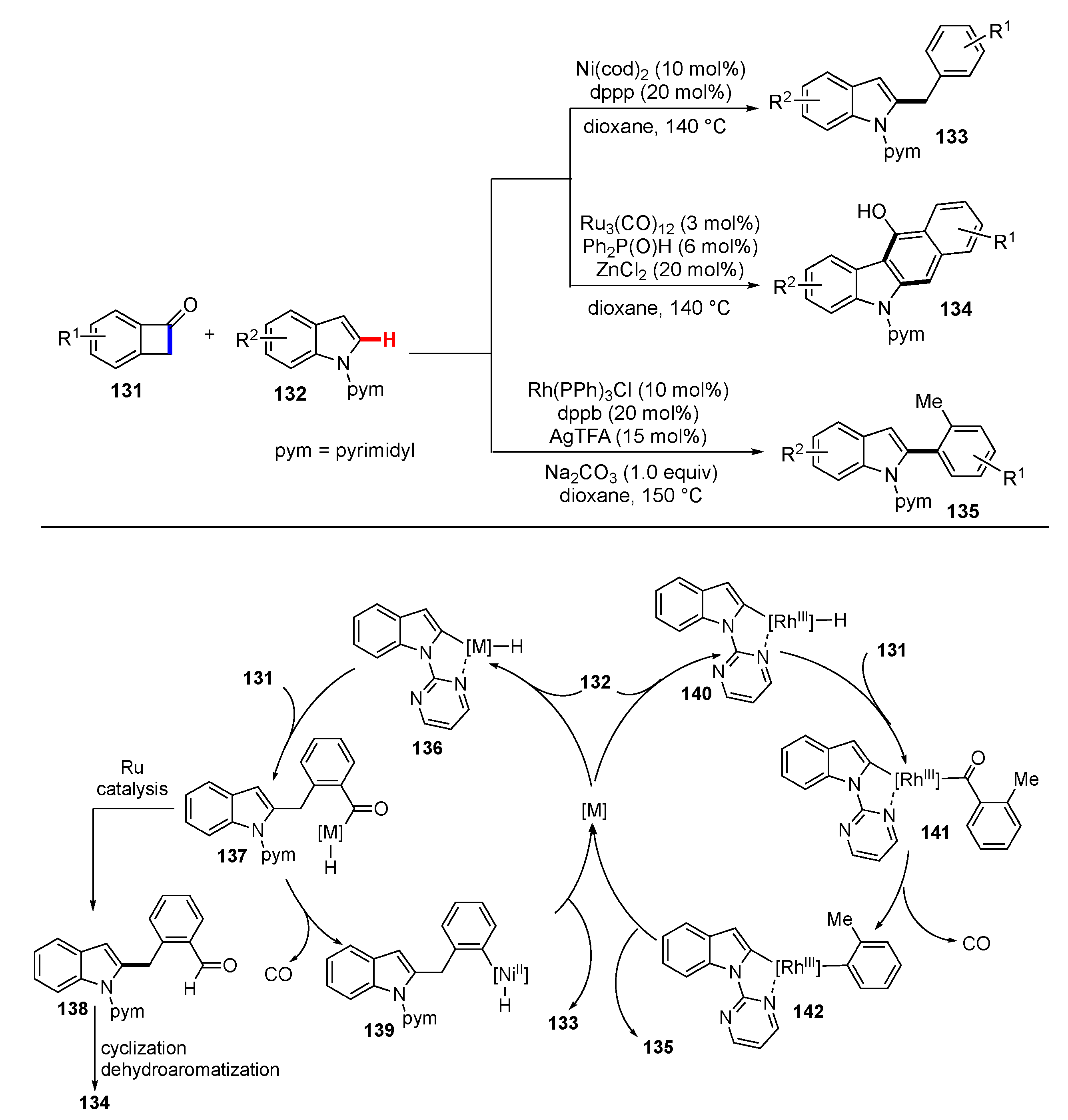 Molecules 25 05900 sch017