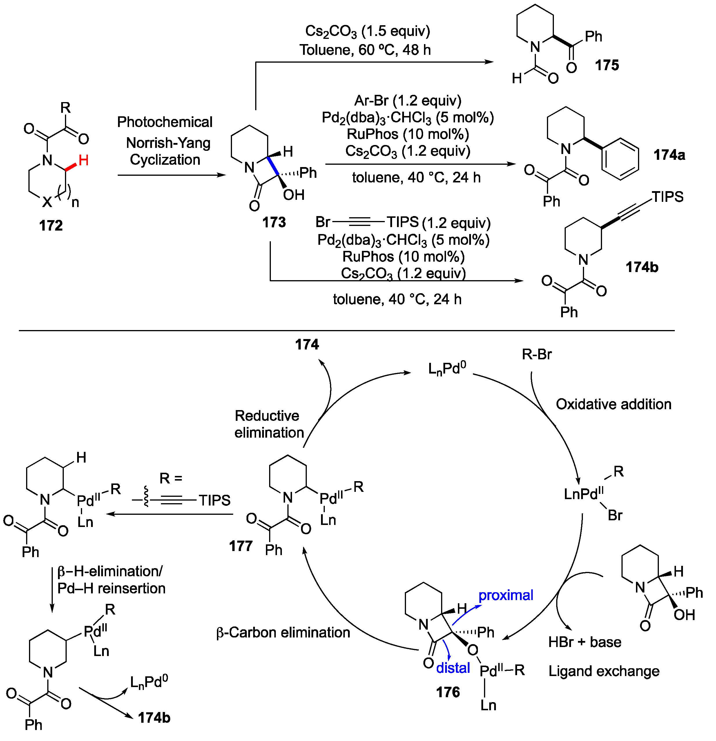 Molecules 25 05900 sch021