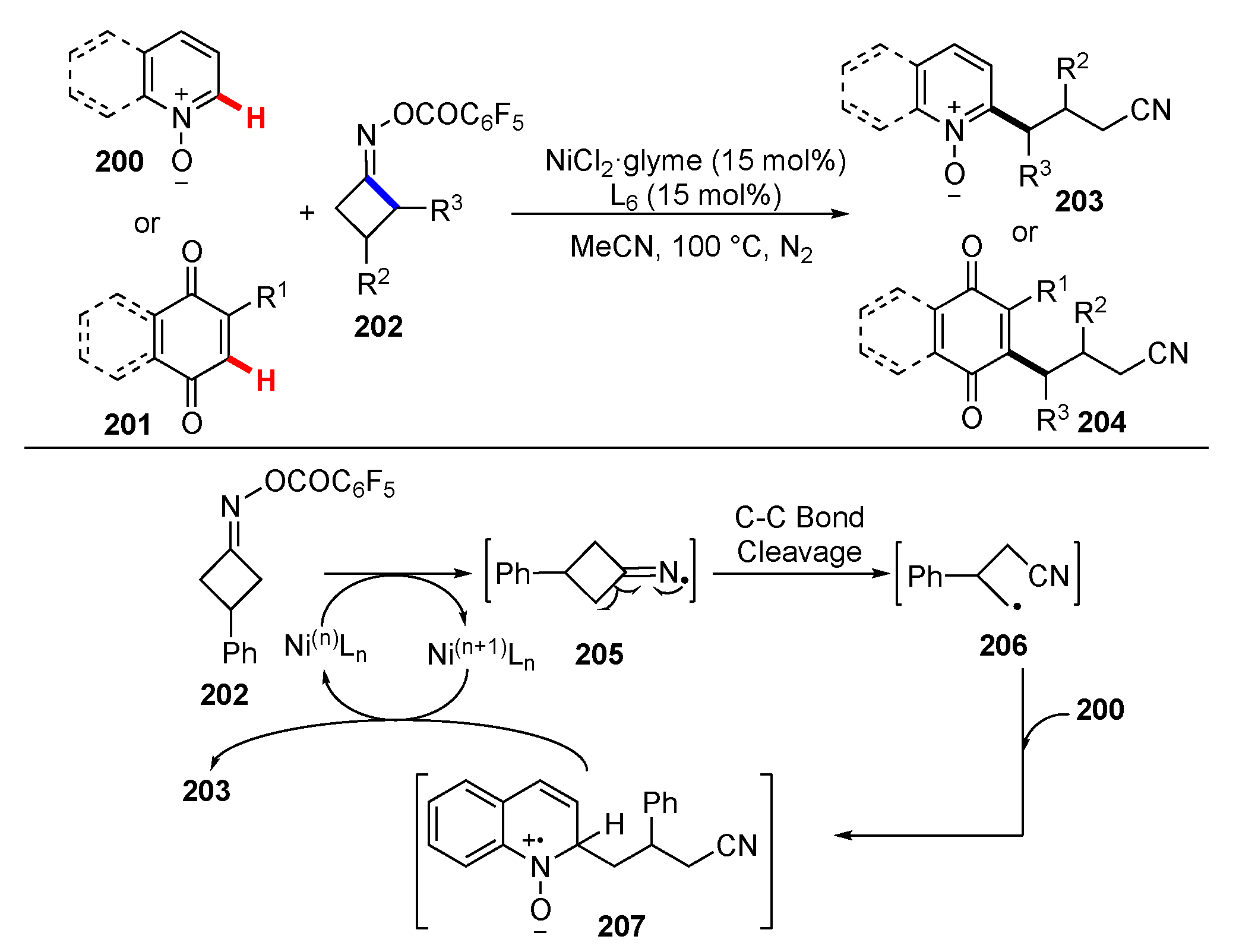 Molecules 25 05900 sch025