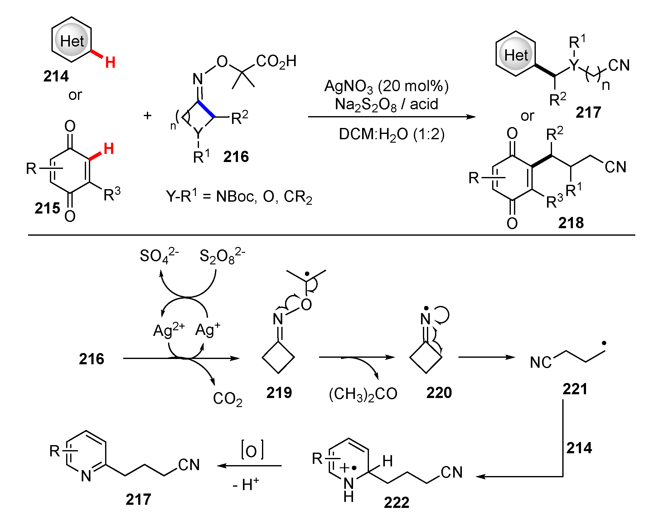 Molecules 25 05900 sch027