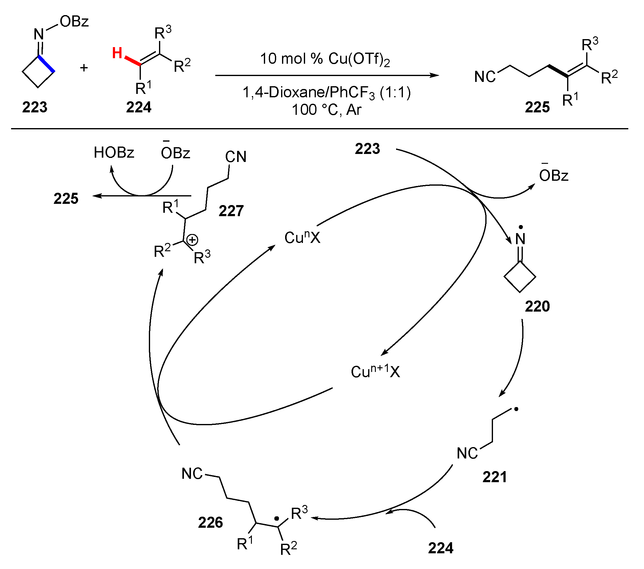 Molecules 25 05900 sch028