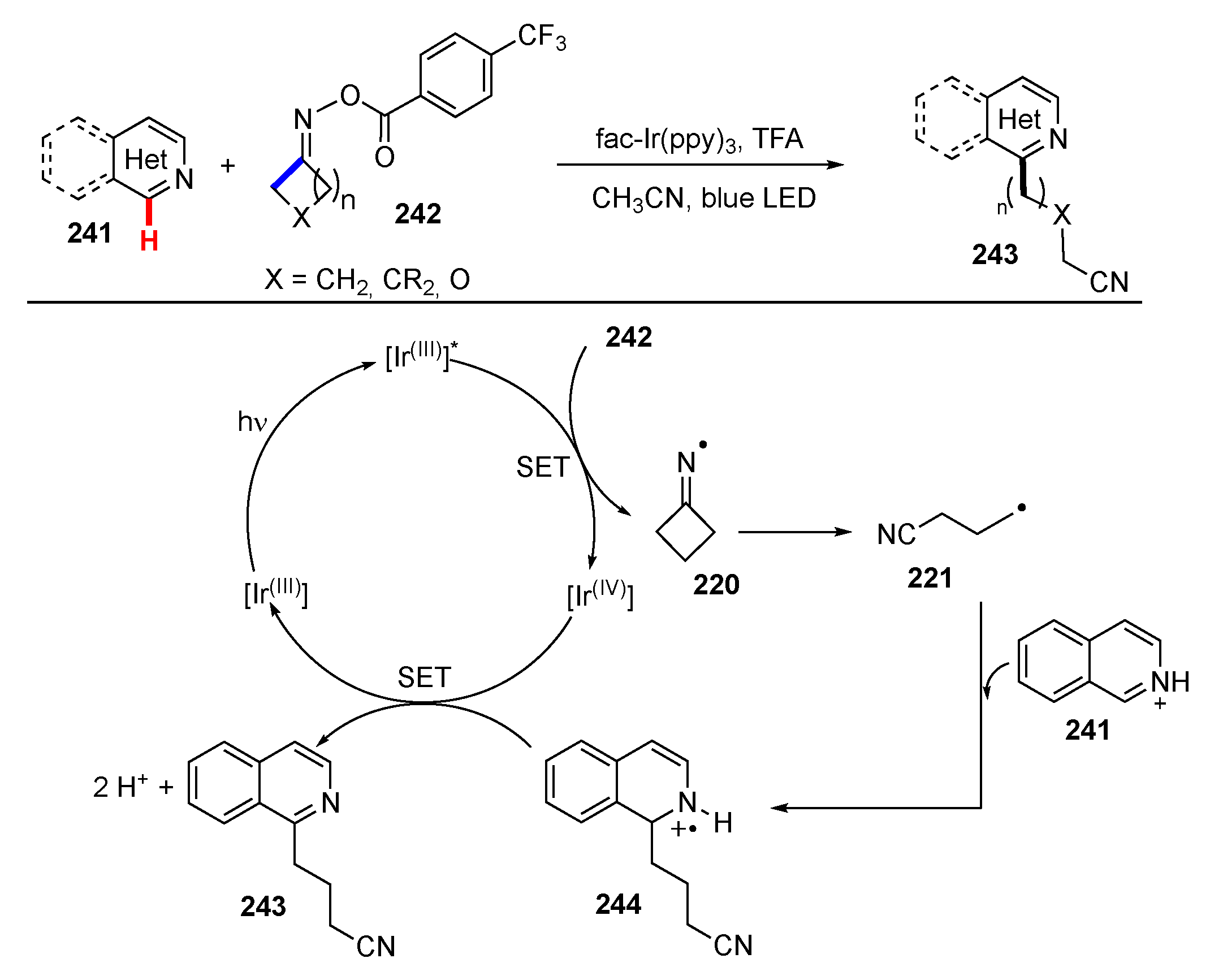 Molecules 25 05900 sch031